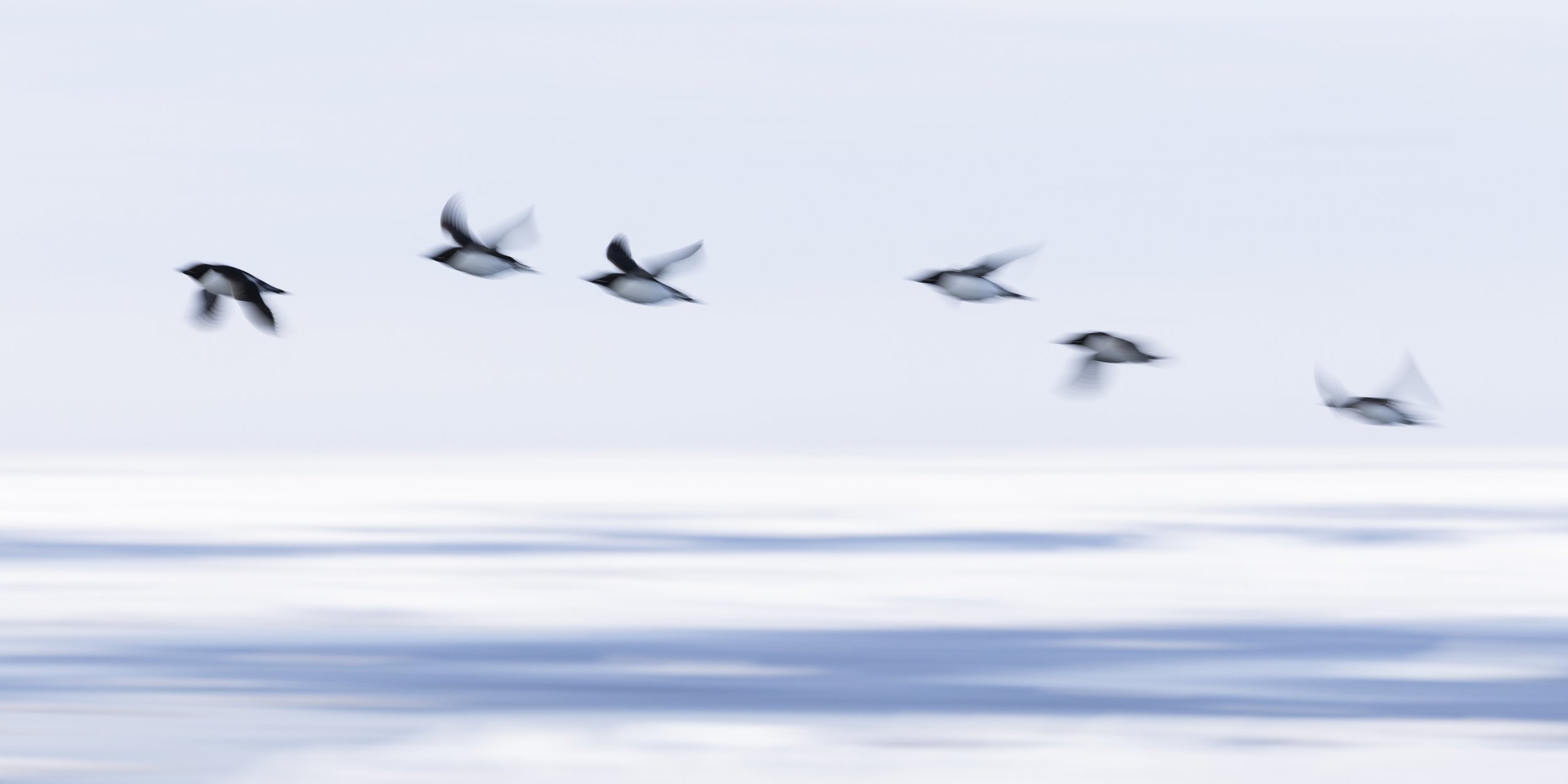 Talor_Stone_Pack Ice_2023_33.jpg