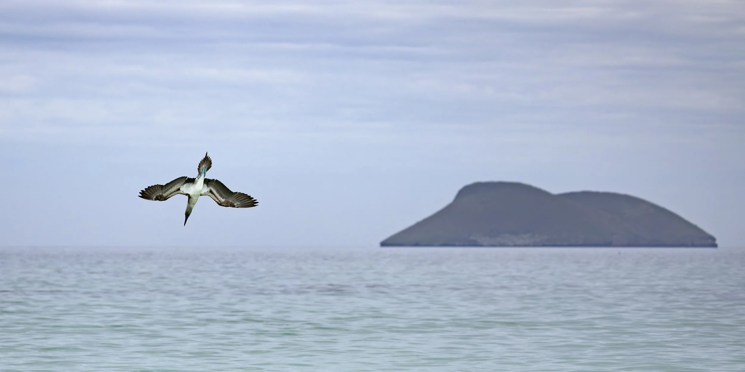 Talor_Stone_Galapagos_2025_13.jpg