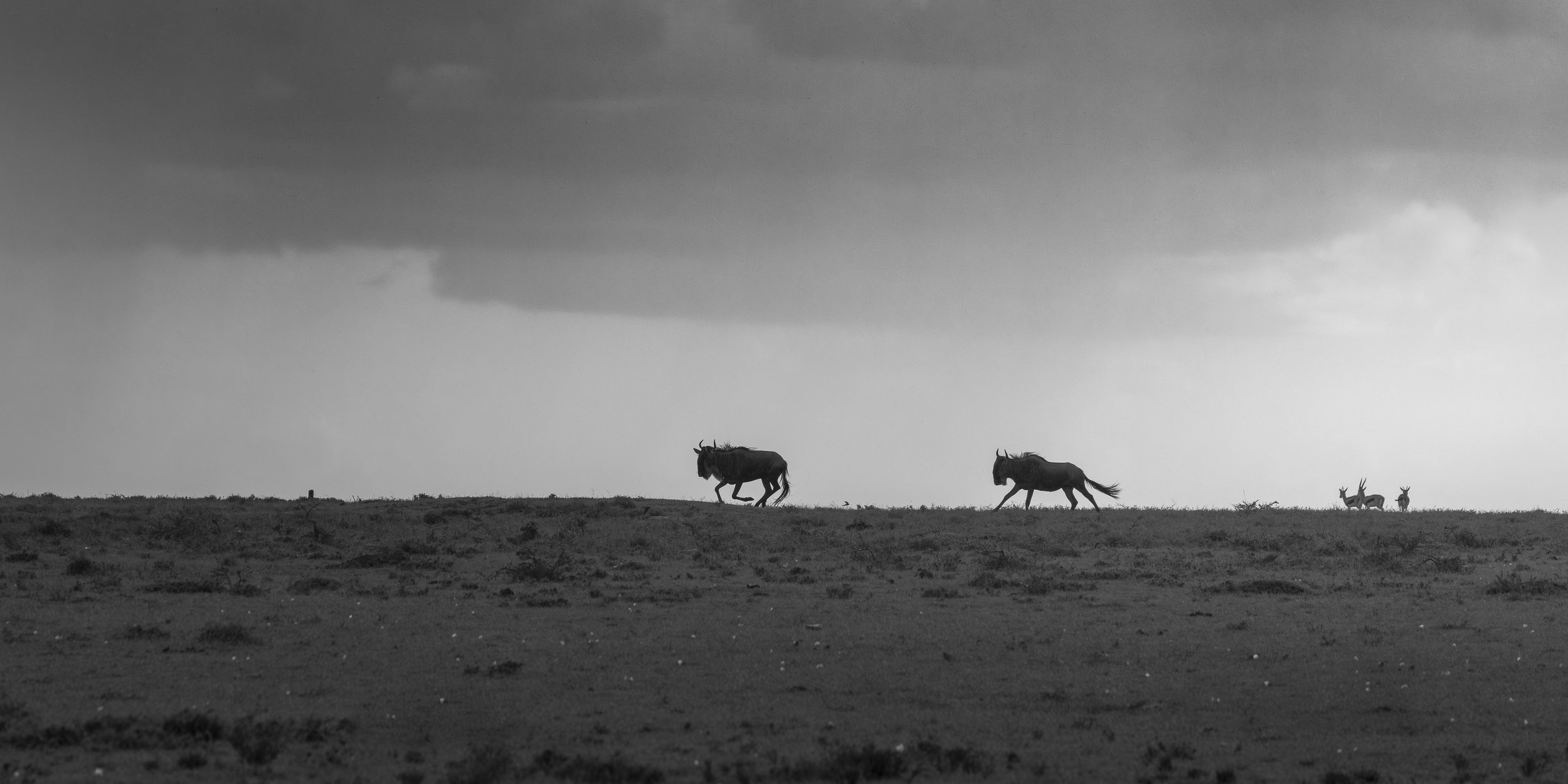 Talor_Stone_Kenya_2026_57.jpg
