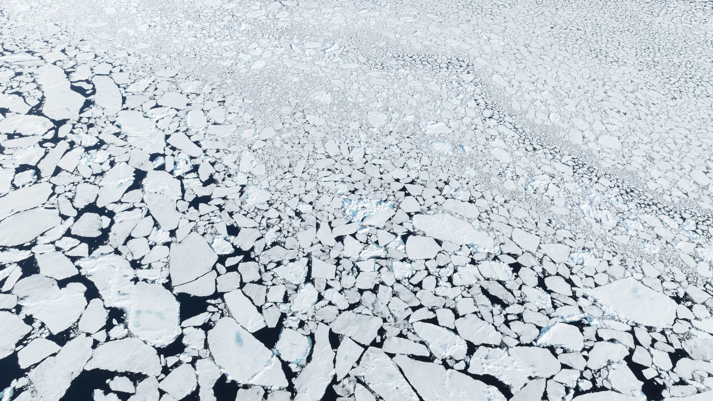 Talor_Stone_Pack Ice_2025_2.jpg