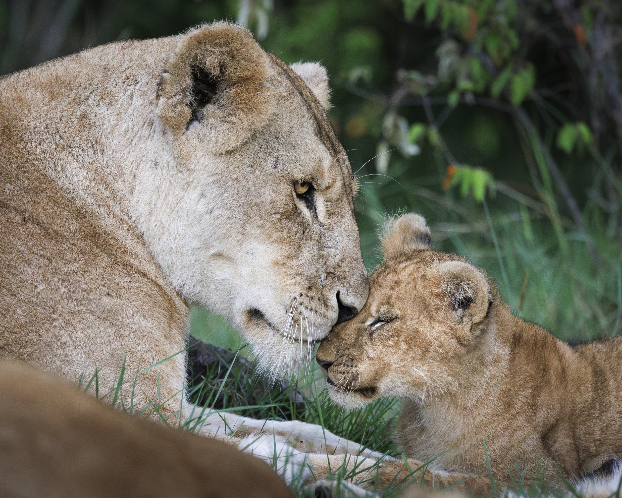 Talor_Stone_Kenya_2026_60.jpg