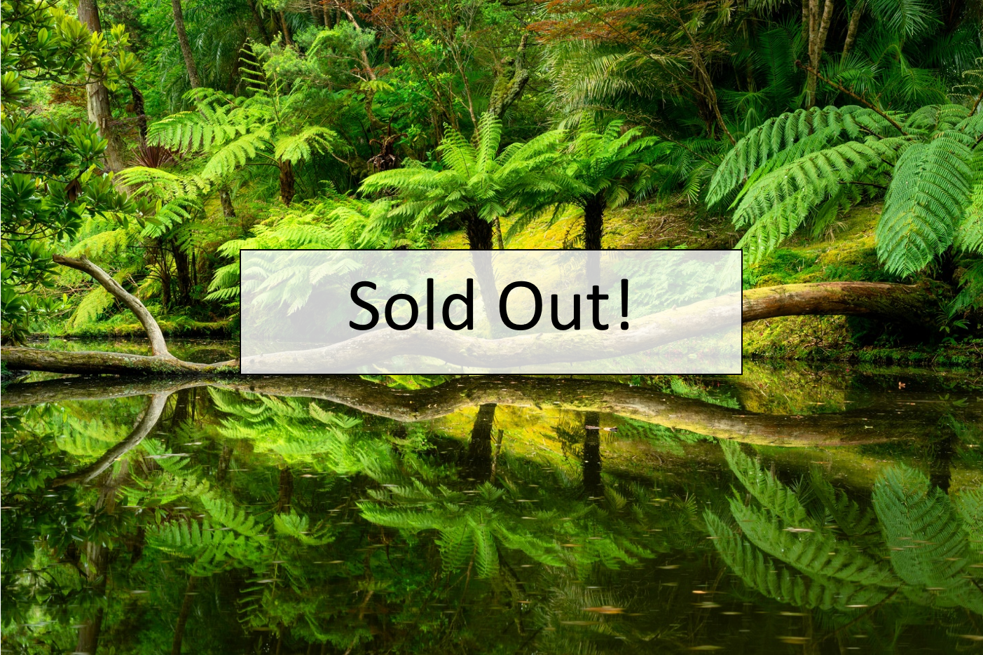 Azores  |  July 10-19, 2027