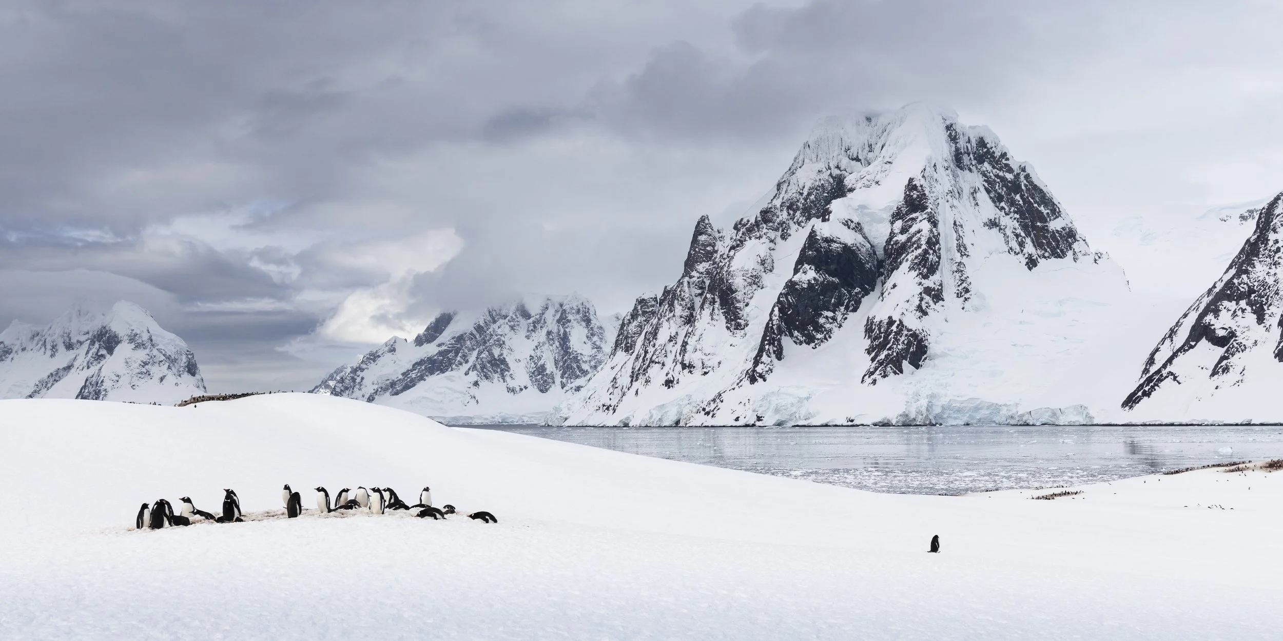 Talor_Stone_Antarctica_2022_19.jpg
