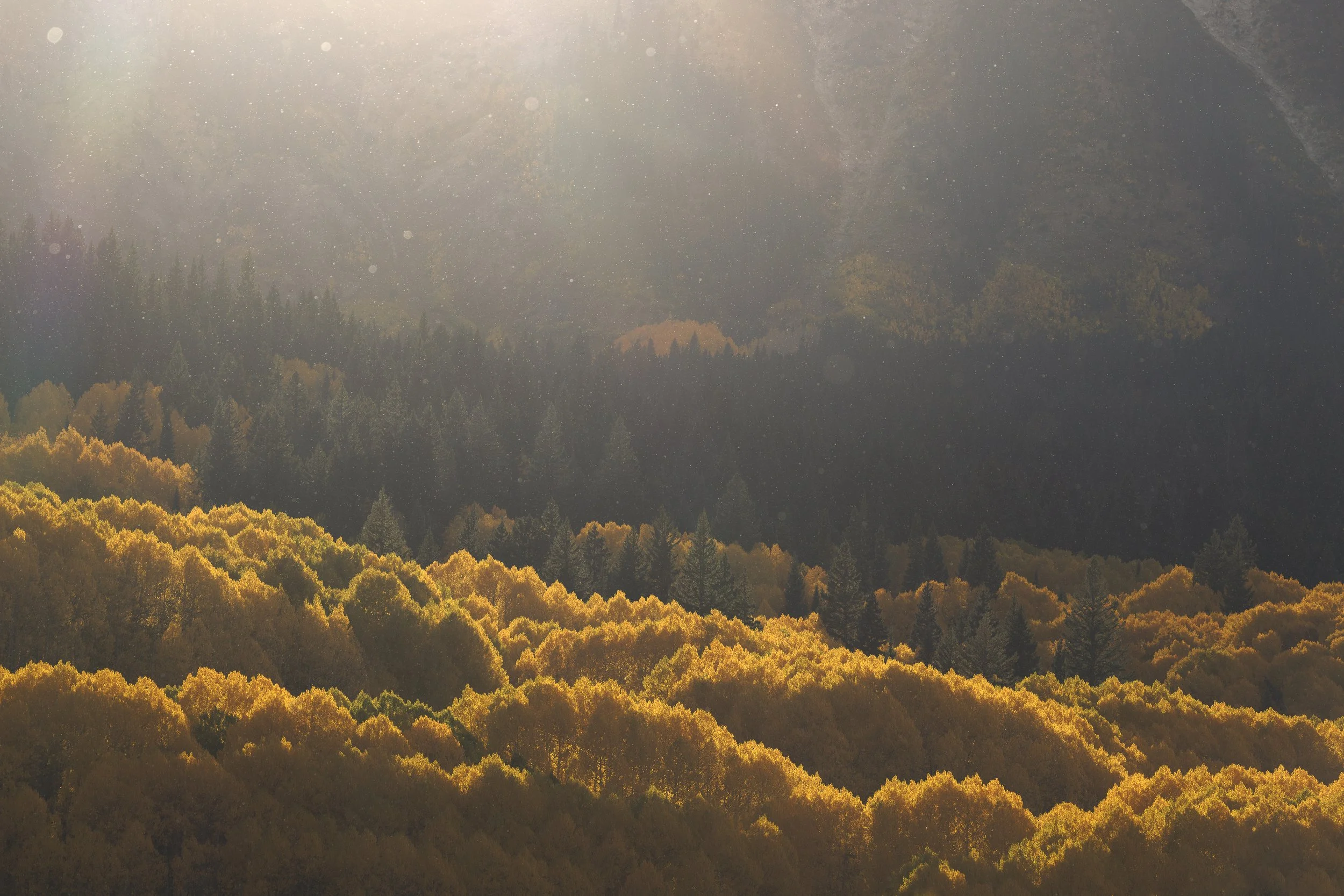 Vision Series: Colorado  |  September 27-October 1, 2027