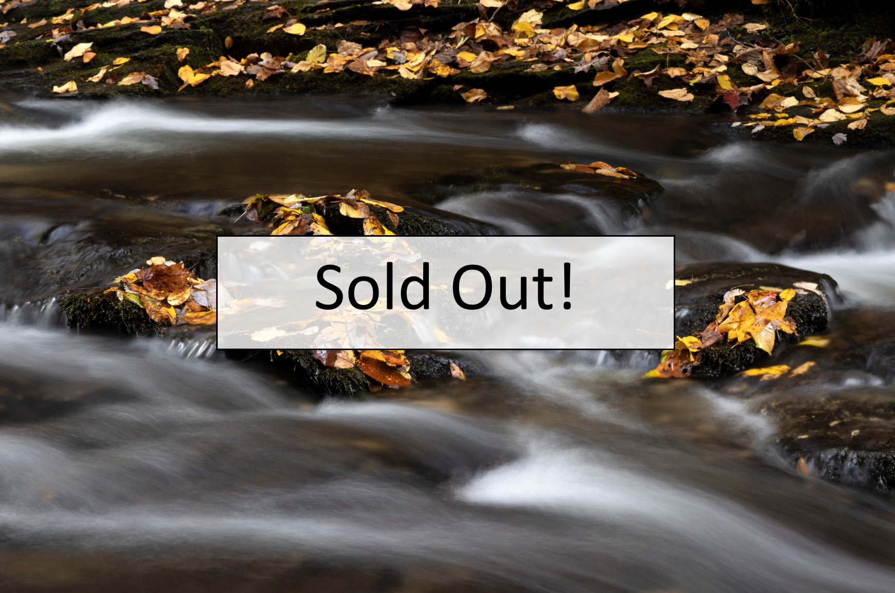 Blue Ridge Waterfalls  |  October 19-24, 2026