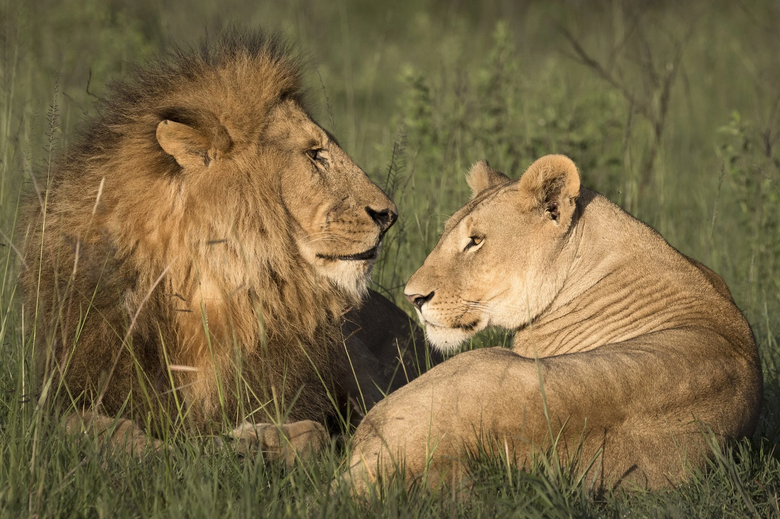 Talor_Stone_Kenya_2026_72.jpg