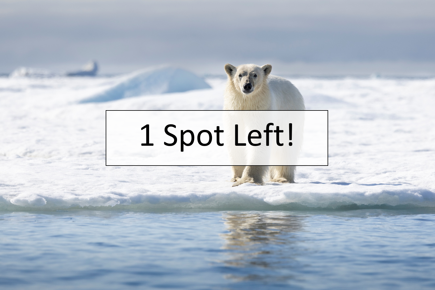 Svalbard Pack Ice  |  June 9-19, 2028