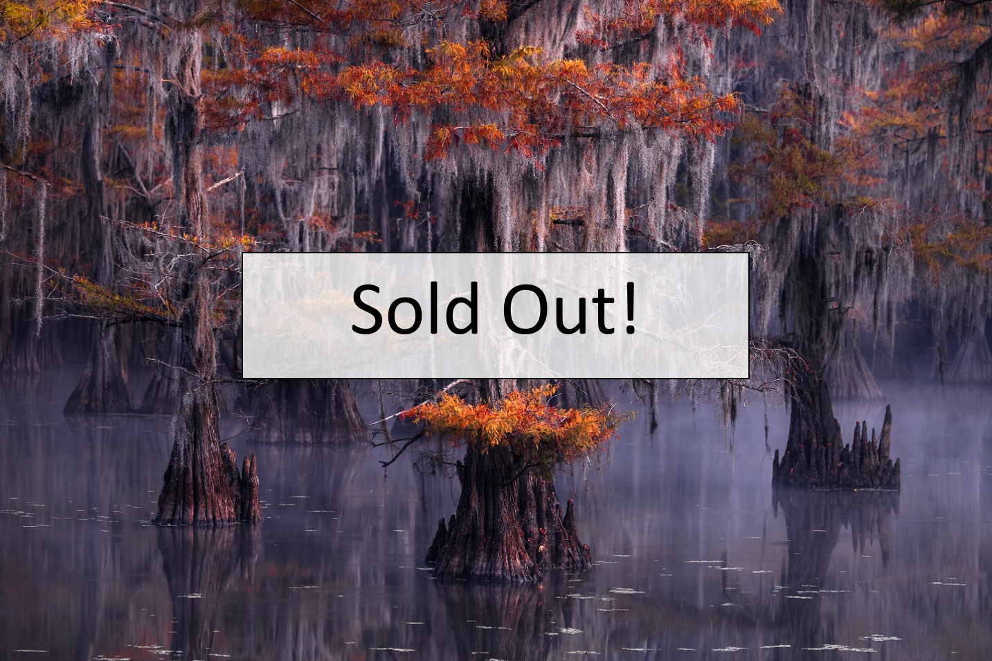 Caddo Lake  |  November 3-7, 2026