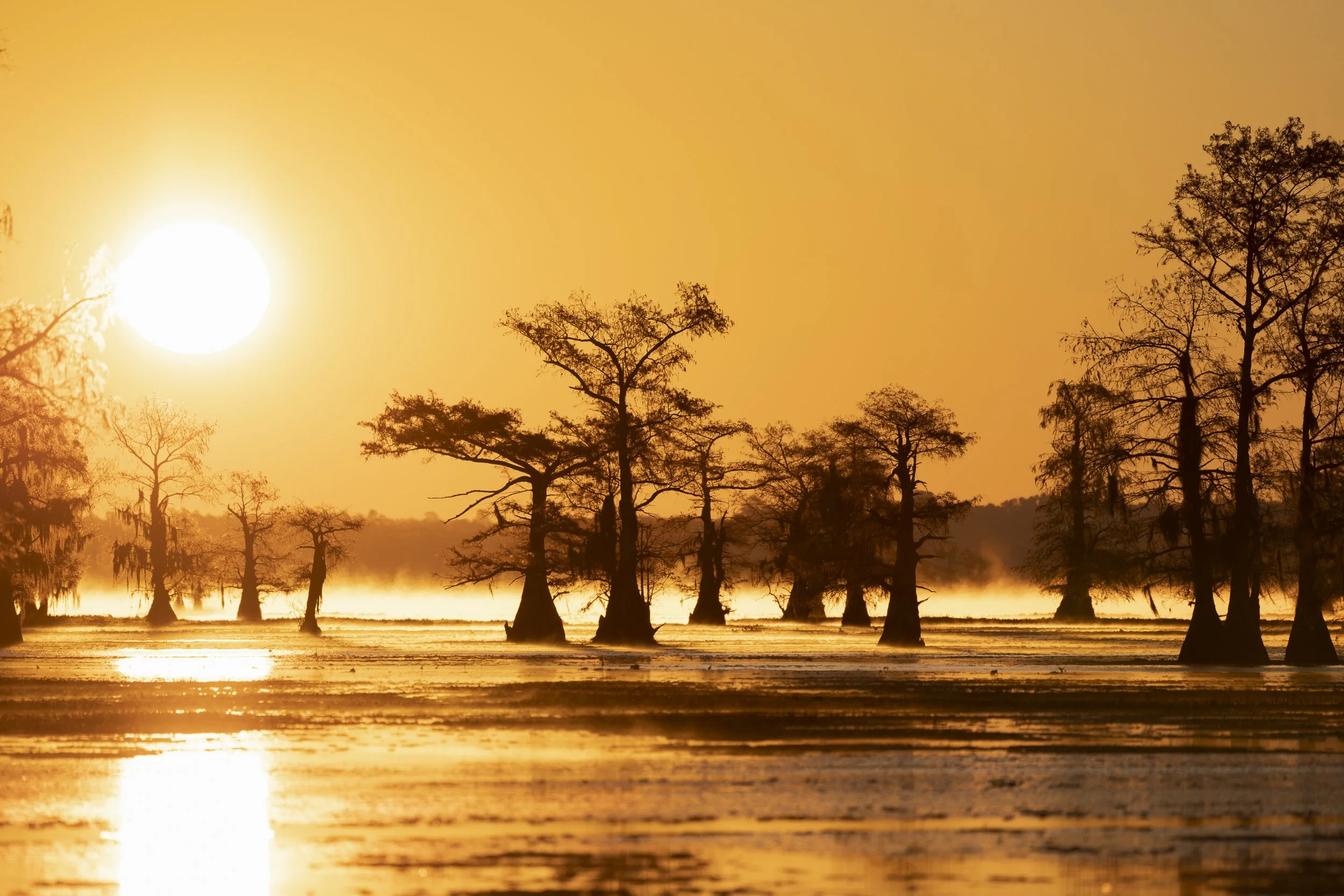 2022-11-13-Caddo-1293.jpg