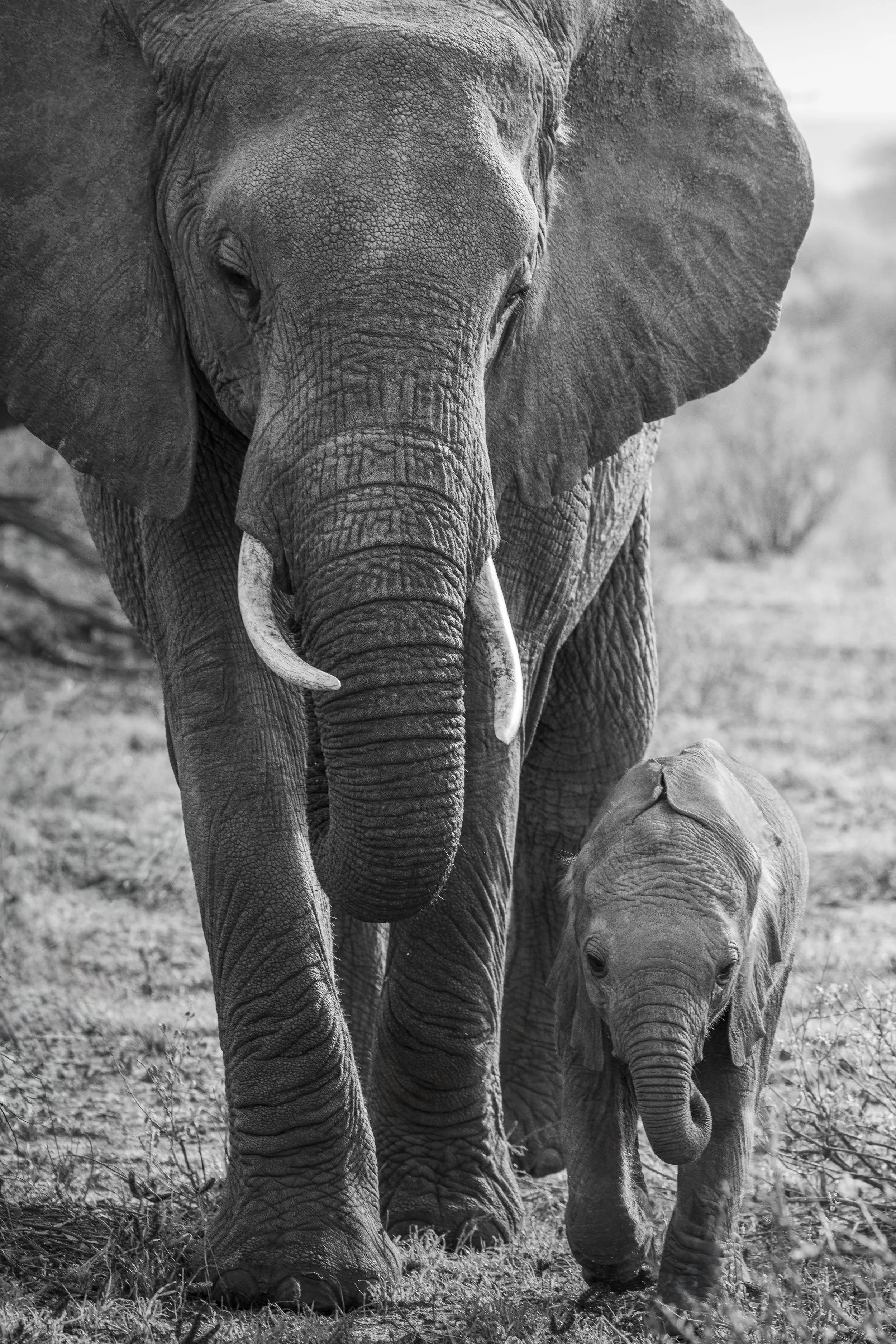 Talor_Stone_Kenya_2026_30.jpg