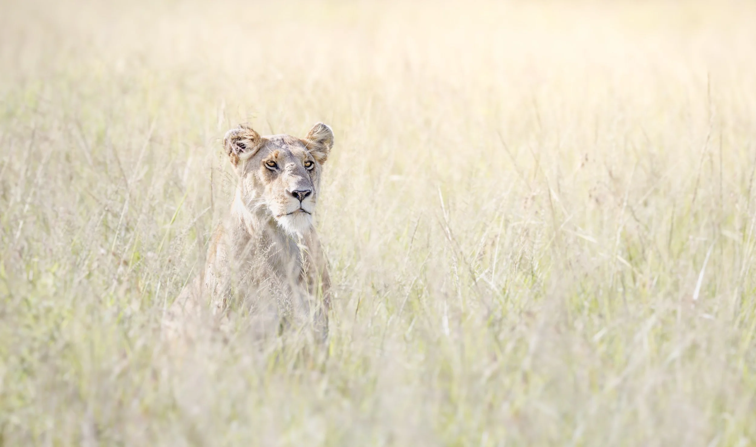 Talor_Stone_Kenya_2026_74.jpg
