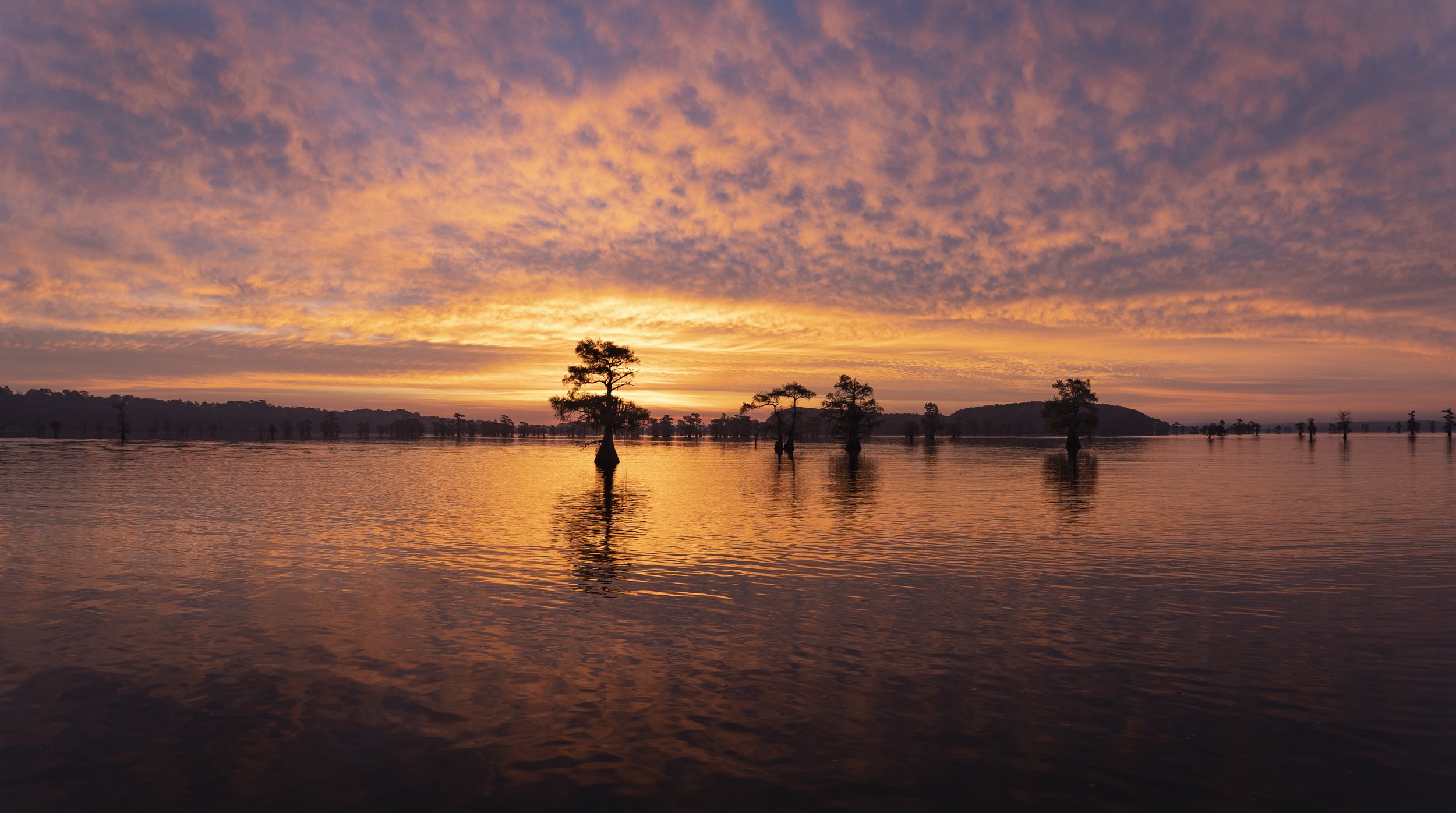 2021-11-09-Caddo Lake-753-Pano.jpg