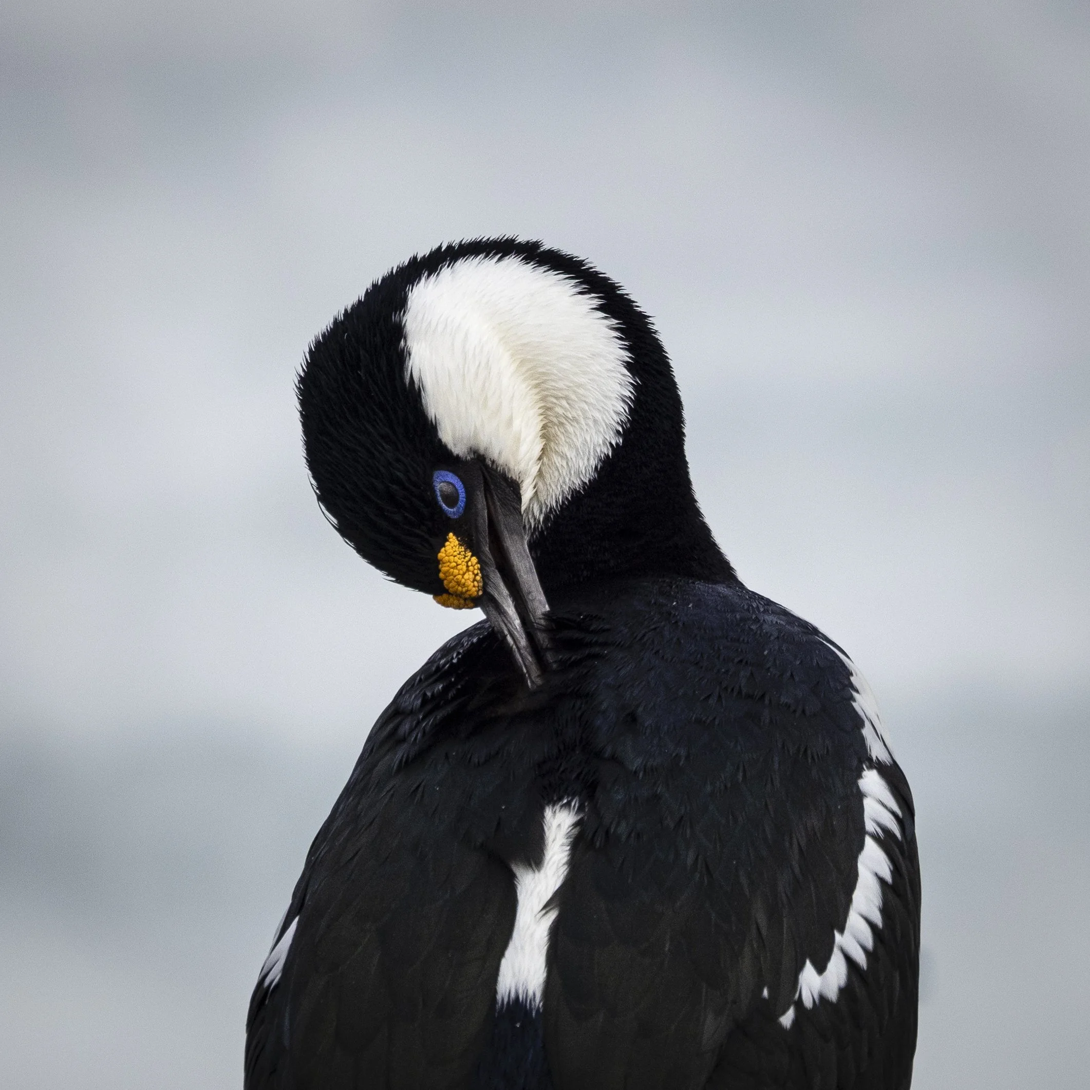 Talor_Stone_Antarctica_2022_5.jpg