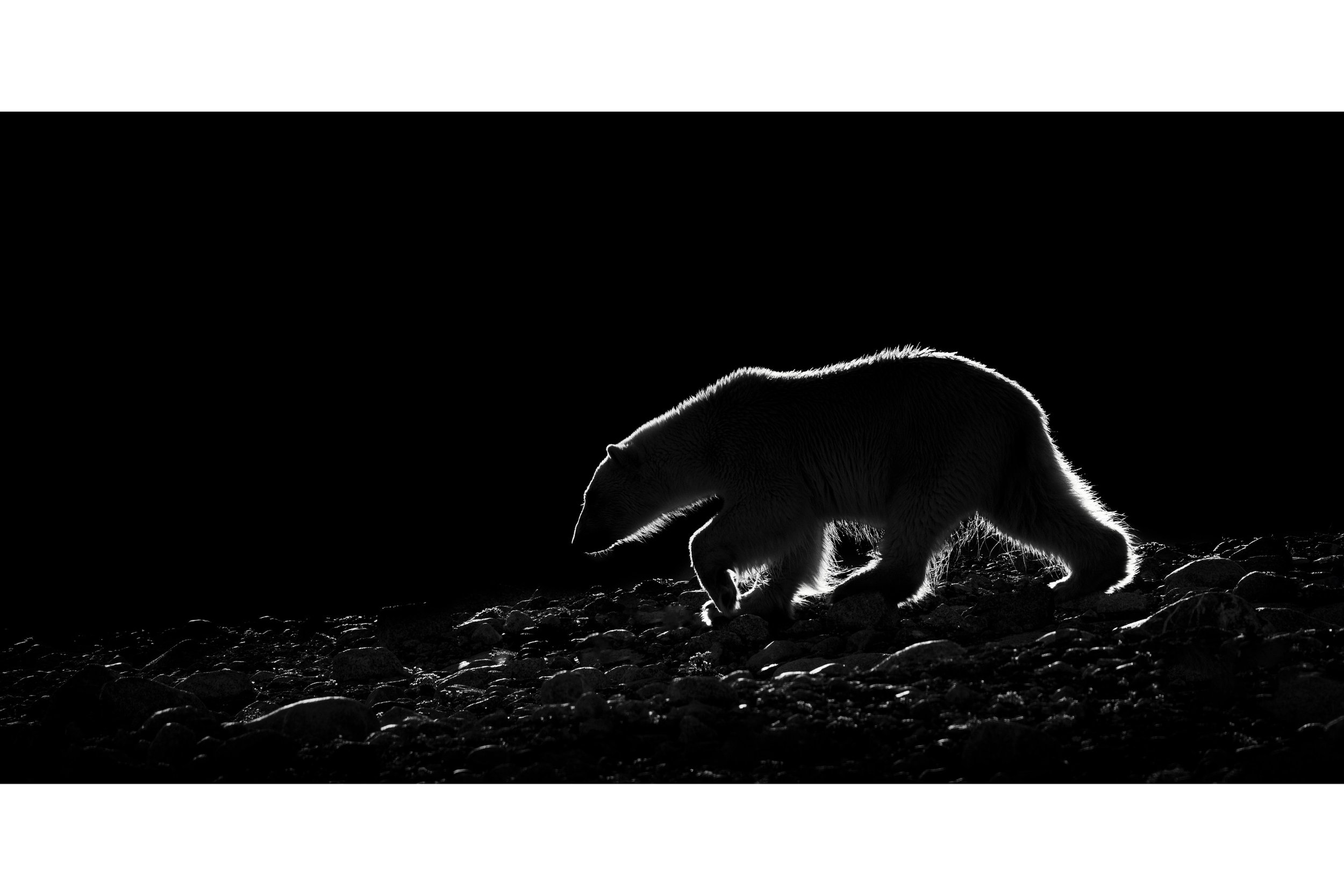 2023-07-13-Svalbard-1461-Edit_polarr.jpeg