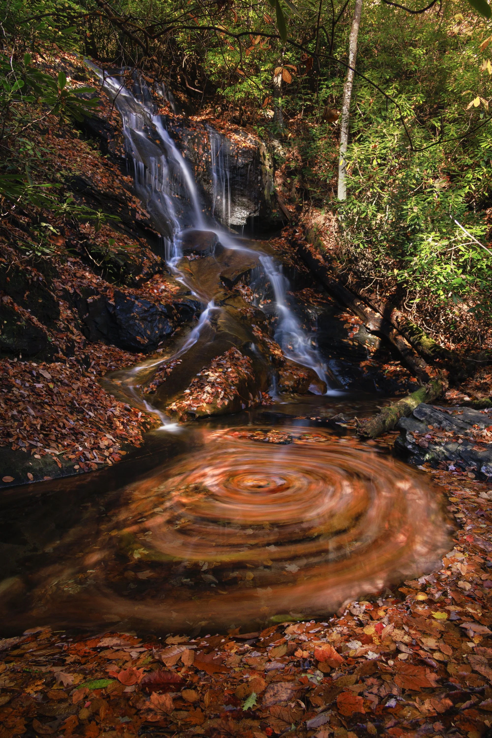 2025-10-23-Blue Ridge-Log Hollow-7.jpg