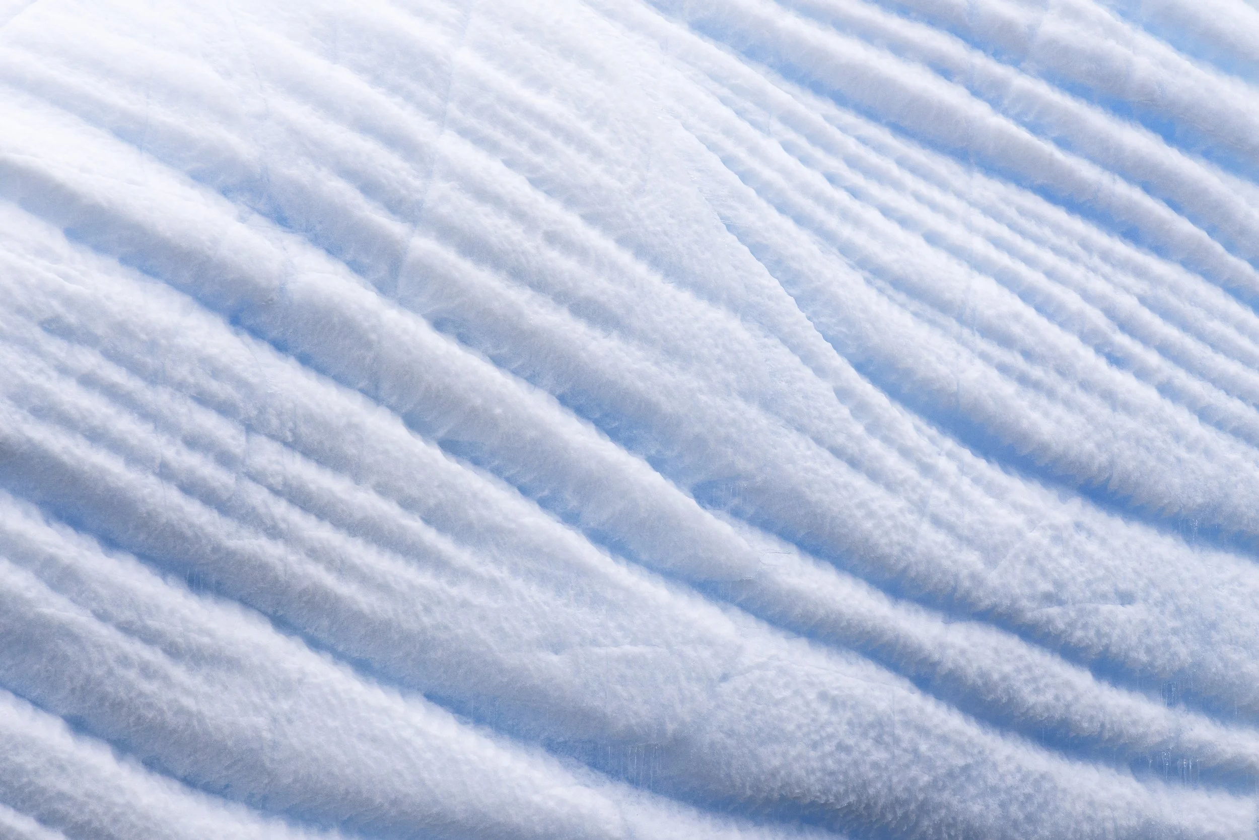 Talor_Stone_Antarctica_2023_41.jpg