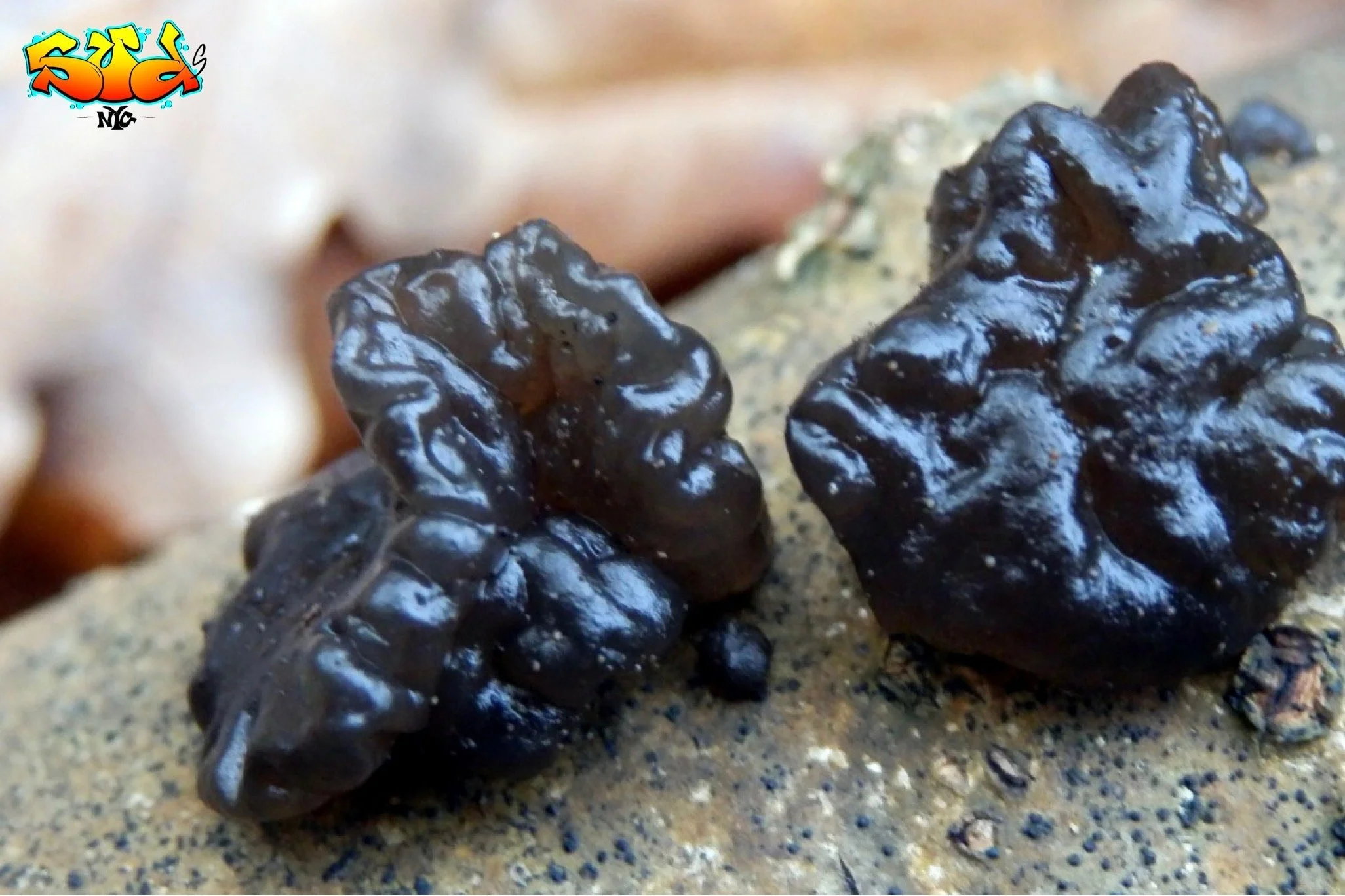 Black Butter Incense