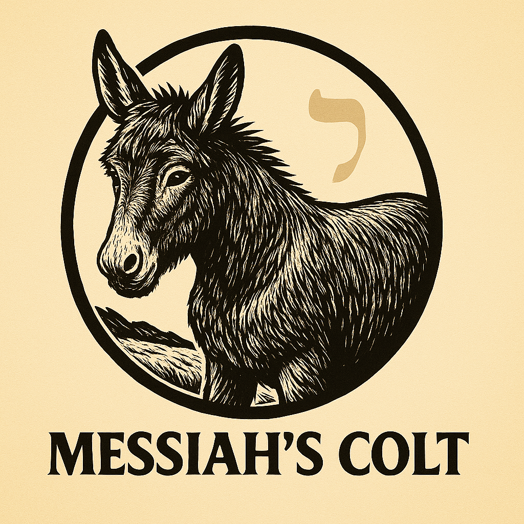 A black and beige logo featuring a detailed drawing of a donkey inside a circle with Hebrew text and the words "Messiah's Colt" below. This is one of the emblems of Messiahscolt for branding of mechandise and wares.