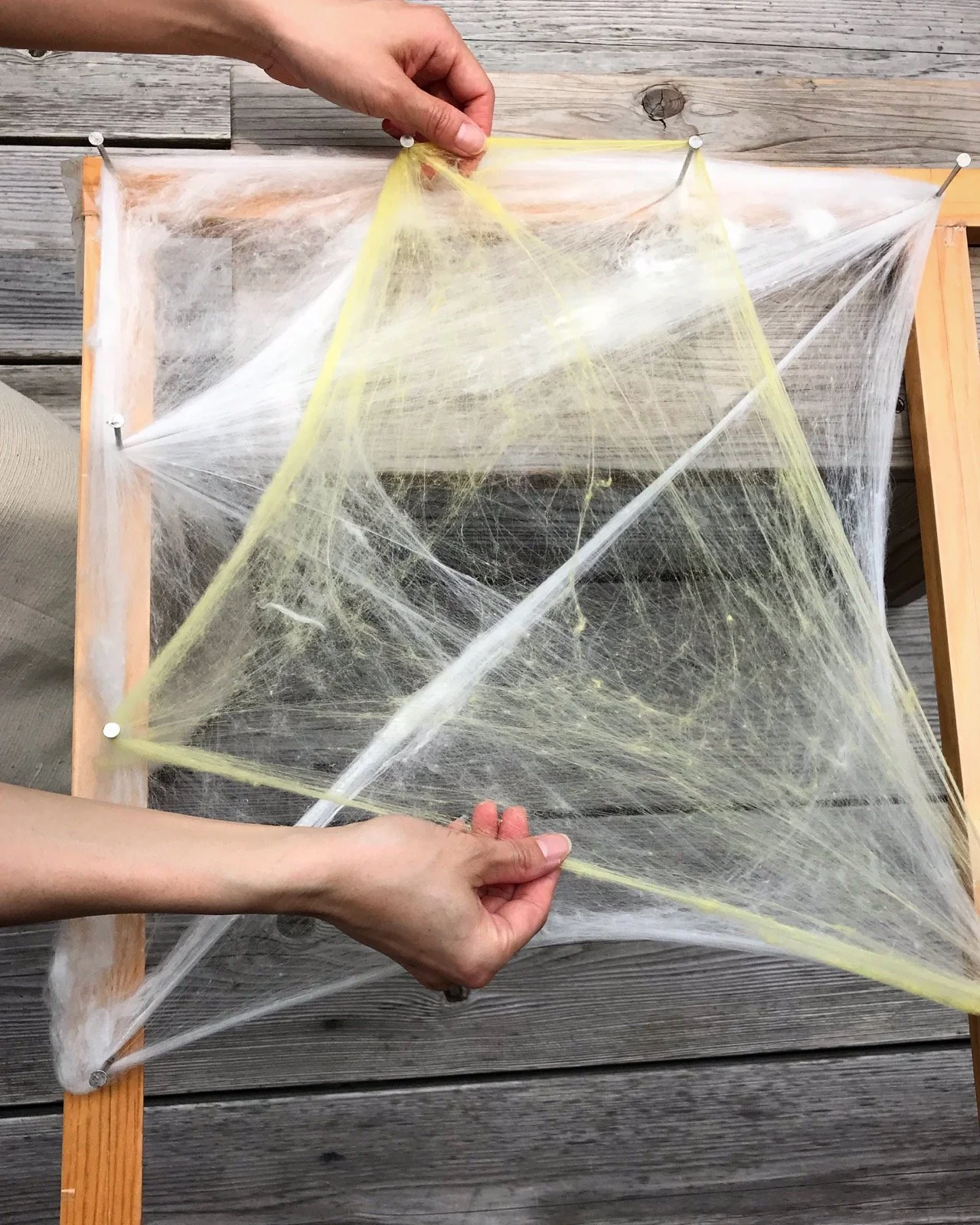 Silk Workshop: Entwining Spirit & Thread I