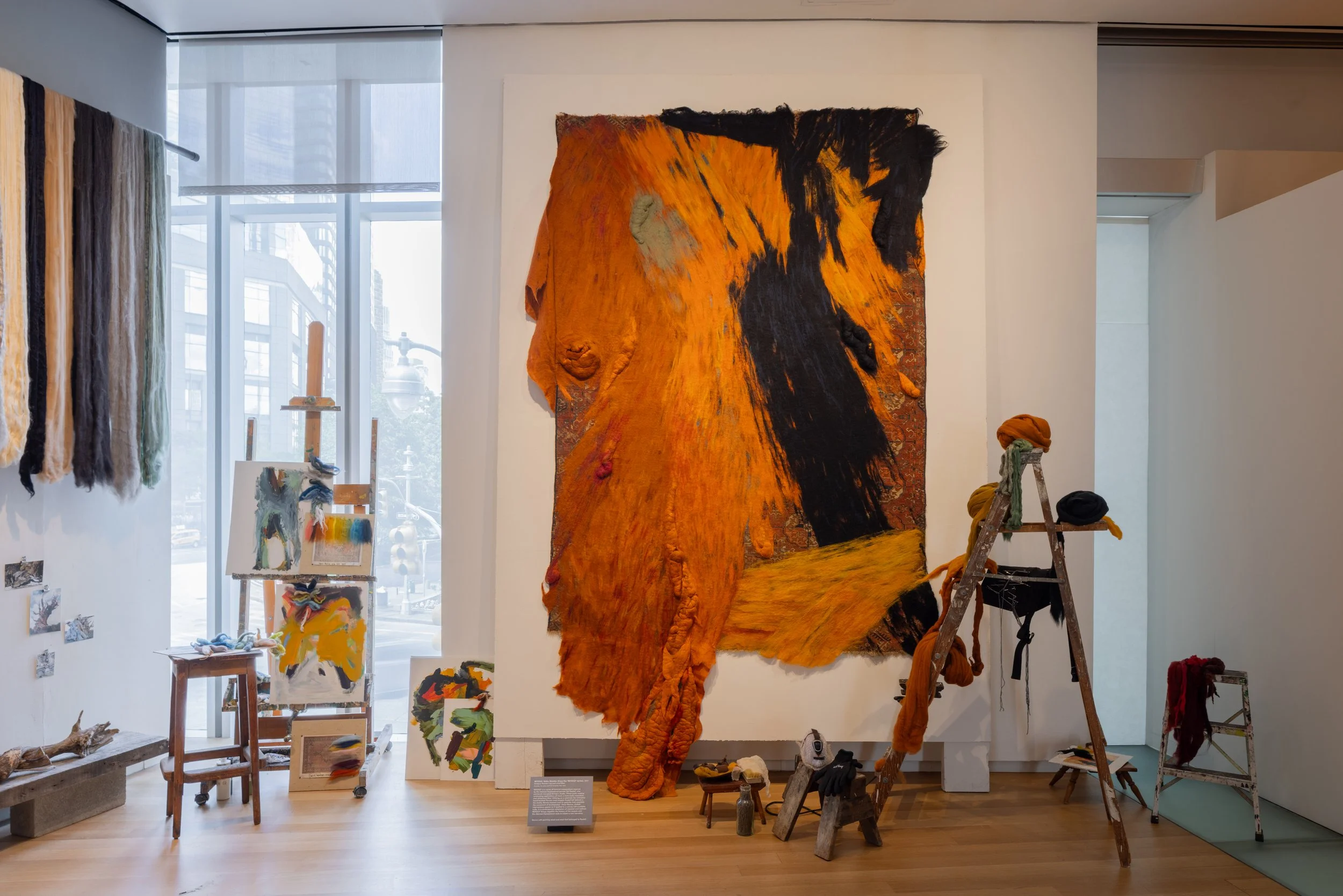 Dana Barnes: Untamed Gestures