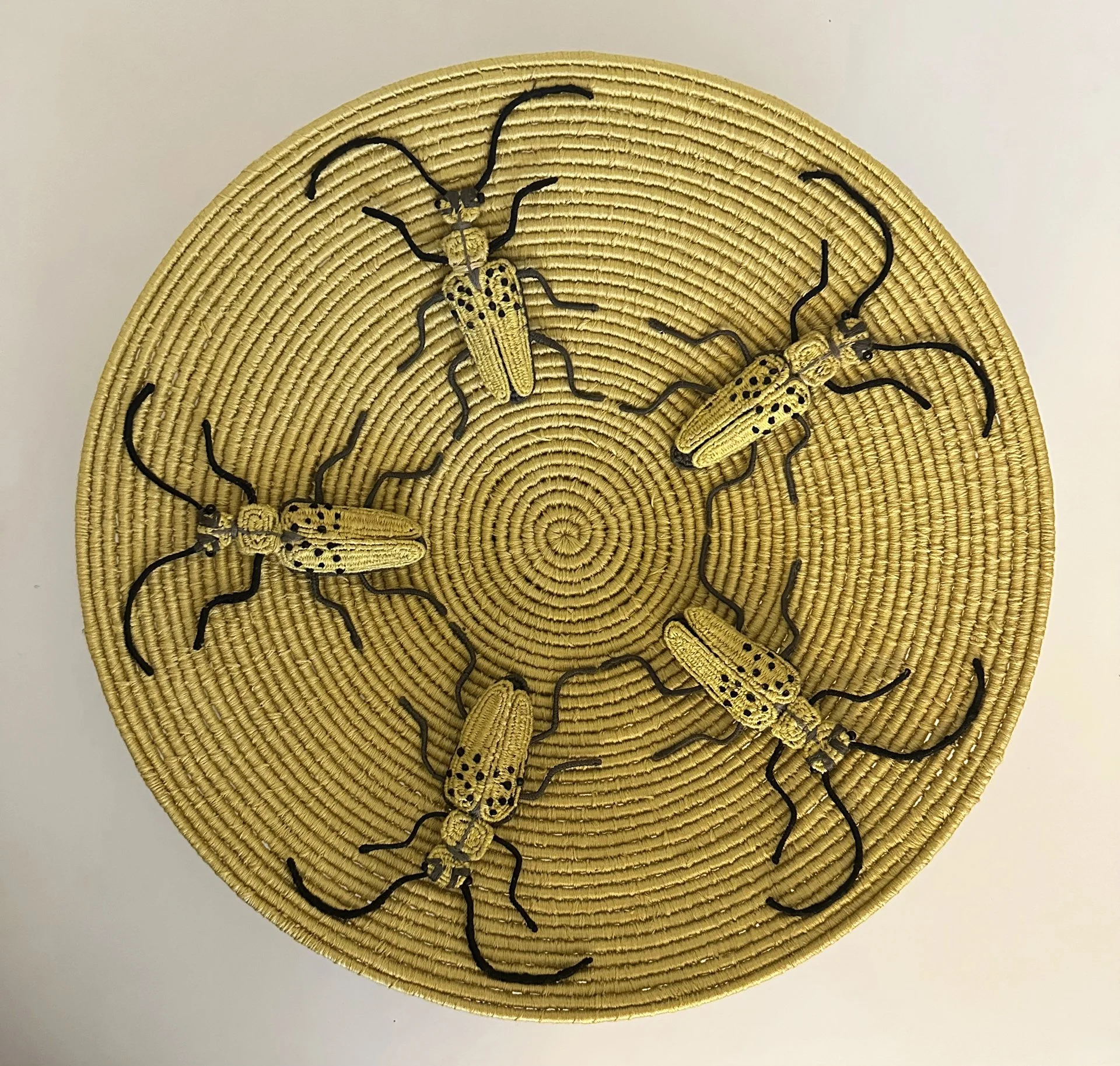 Art Speaks: The Visual Language of Basketry