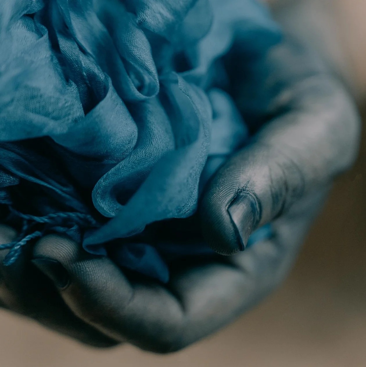 京藍 Kyō-ai: Living indigo from Kyoto by Riku Matsuzaki