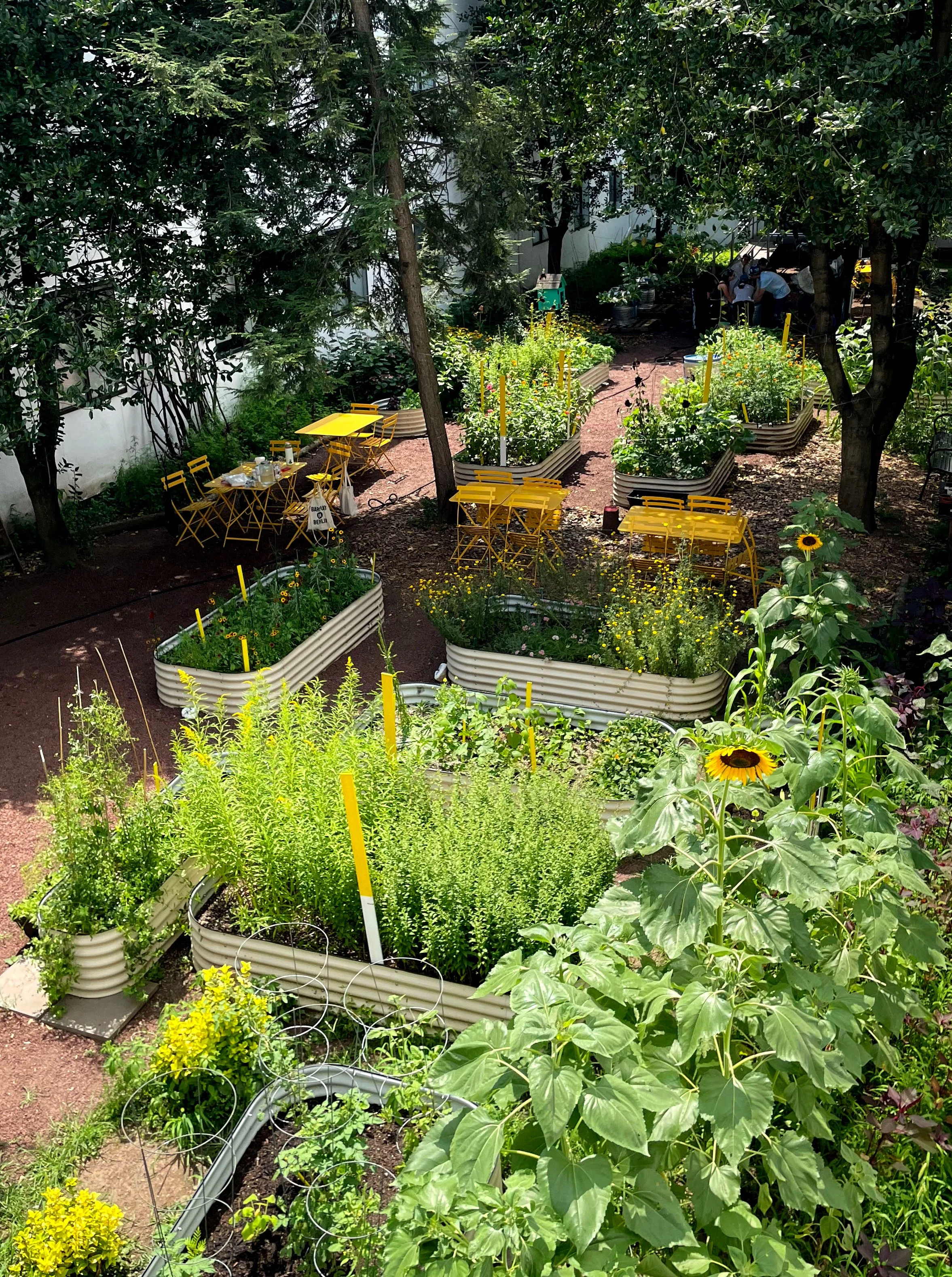 Pratt Textile Dye Garden Open House