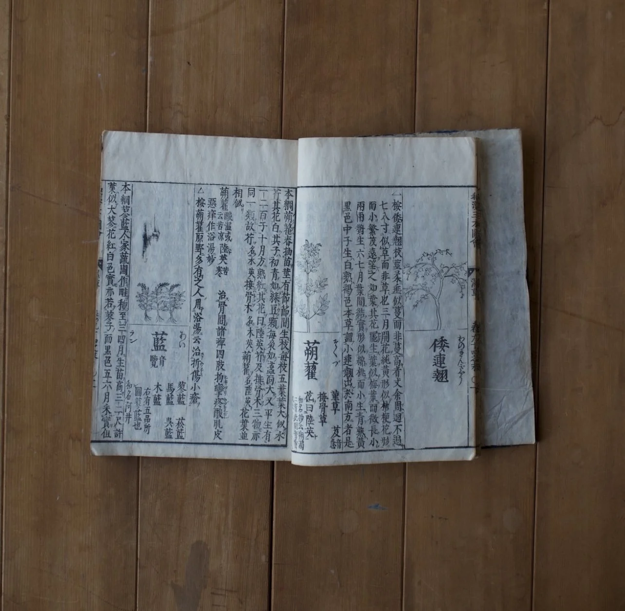Lecture: 京藍 Kyō-ai: The Revival of a Lost Color and Life