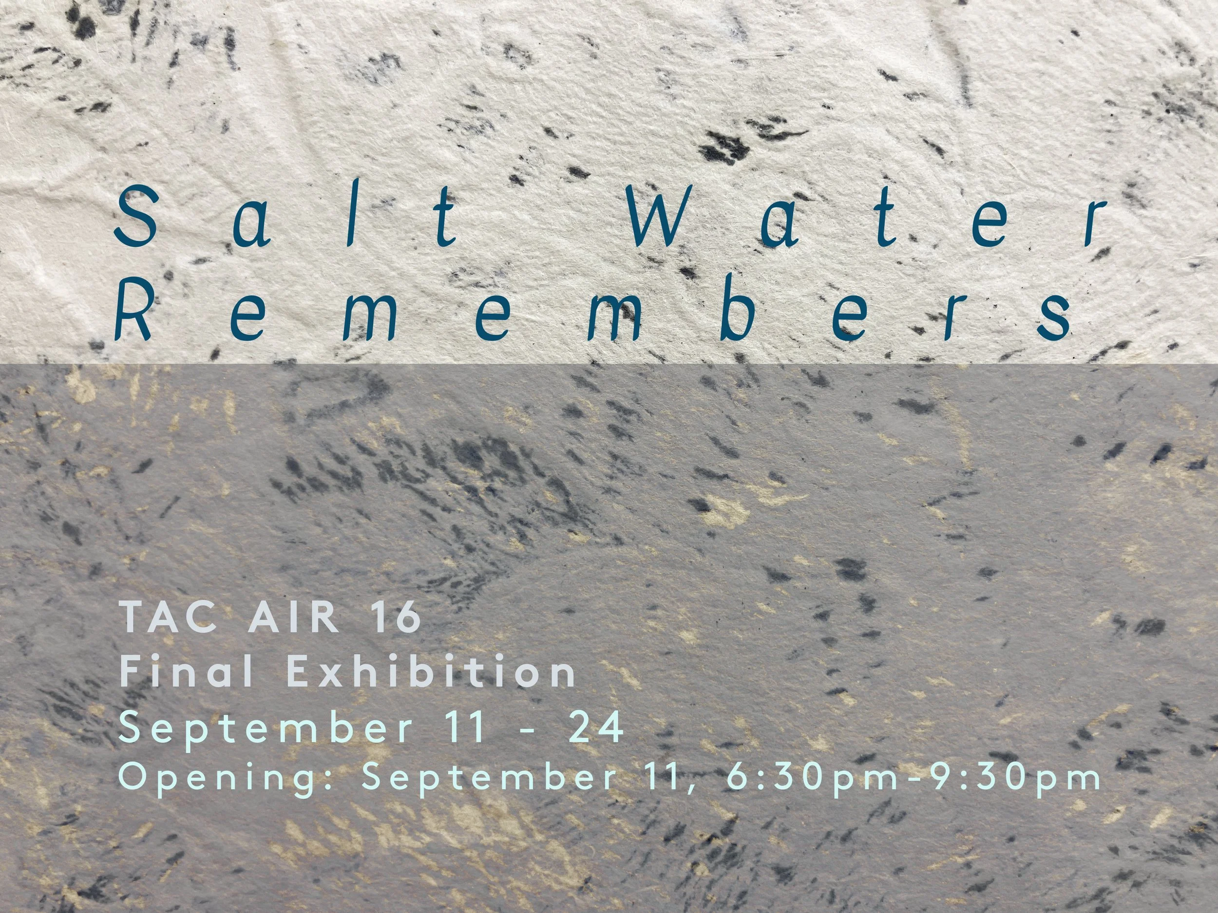 Salt Water Remembers - AIR16 Final Exhibition - Opening