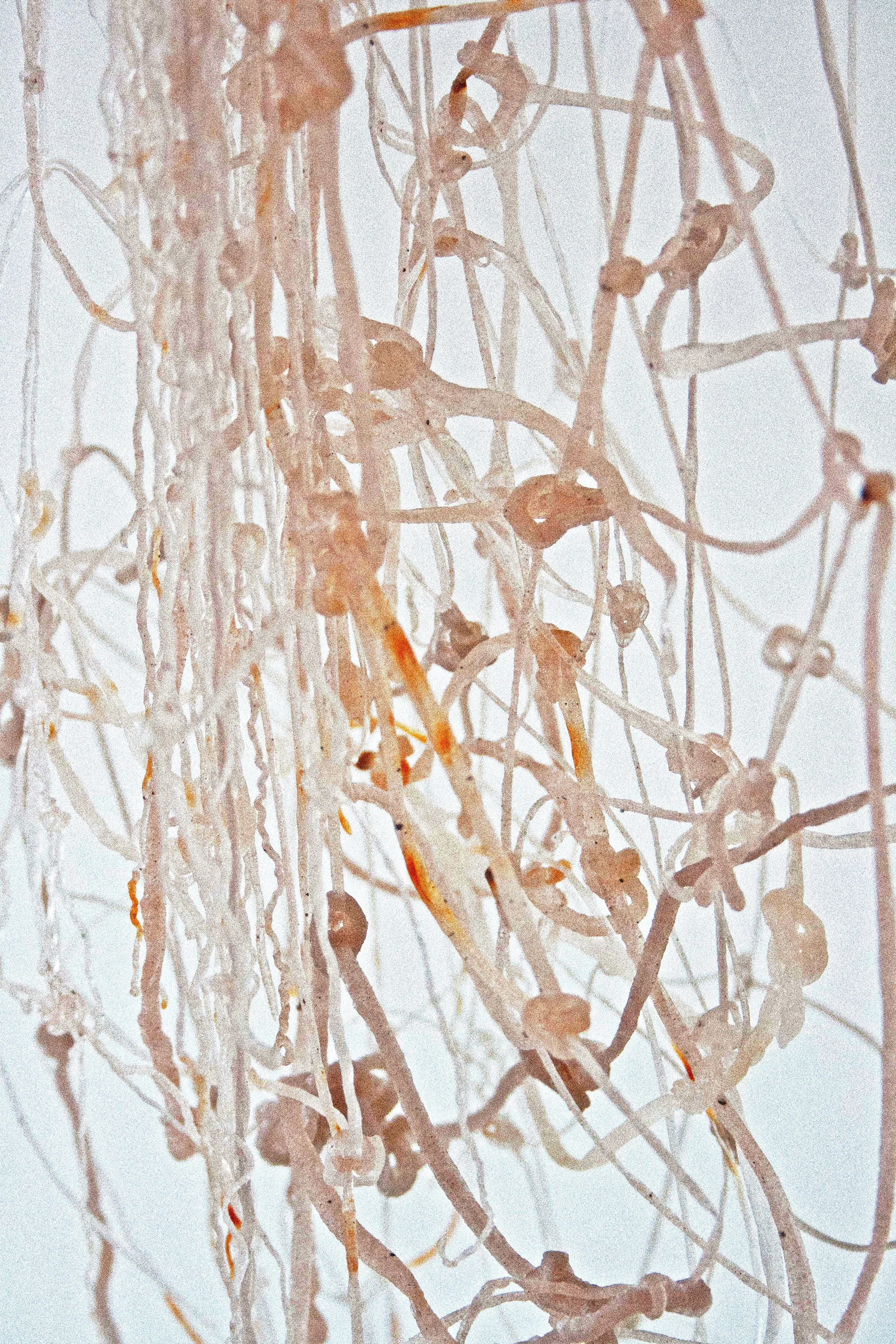 Maria Elena Pumbo_frangemntario_Weaving the Anemoia, 3 - 李晓夜.jpeg