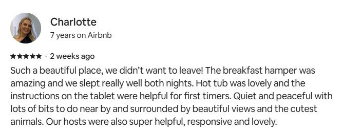 review.jpg