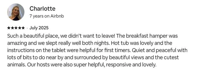 REVIEW.jpg