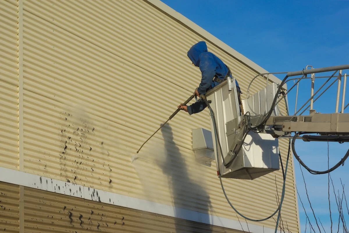 Why Mildew Grows on Building Siding and How to Remove It