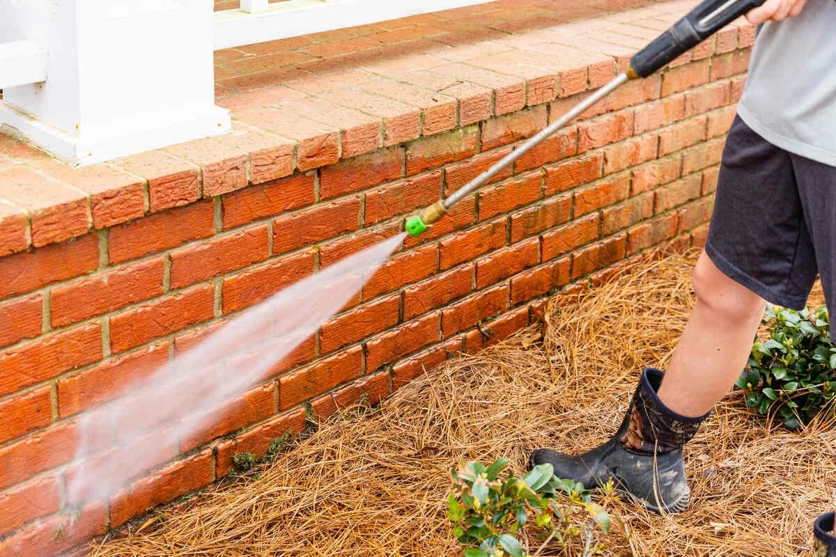 Is Algae Growth On Homes A Safety Hazard?