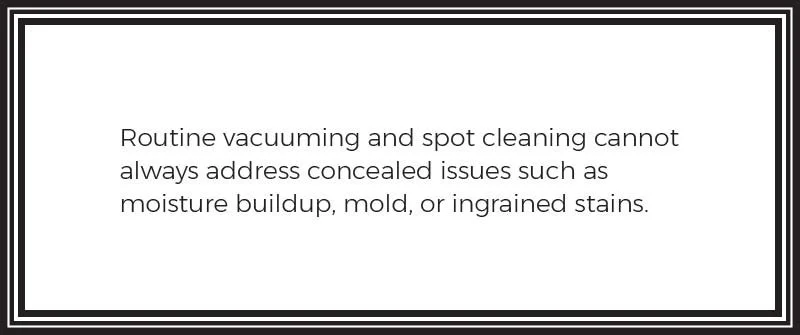 Addressing Hidden Issues: Mold, Deep Stains, and Prolonging Carpet Life