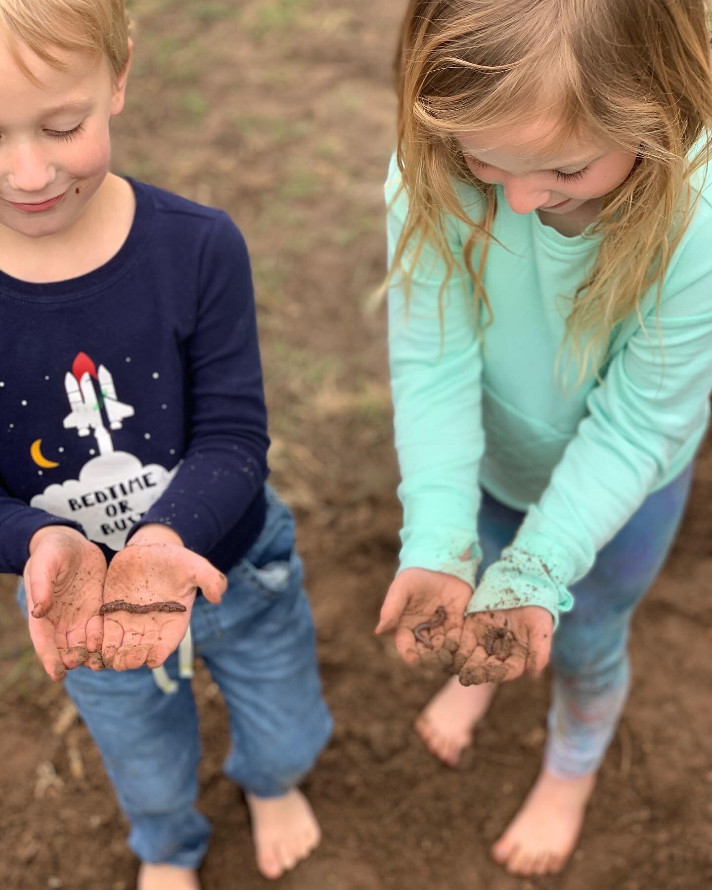 🌱 Happy Earth Day 🌱 

Now that our third and hopefully final winter is over, let all the planting begin. Our nights are starting to warm up and the soil is ready for all the veggies. 

Did you plant something today? Are you planting soon? 

#garden