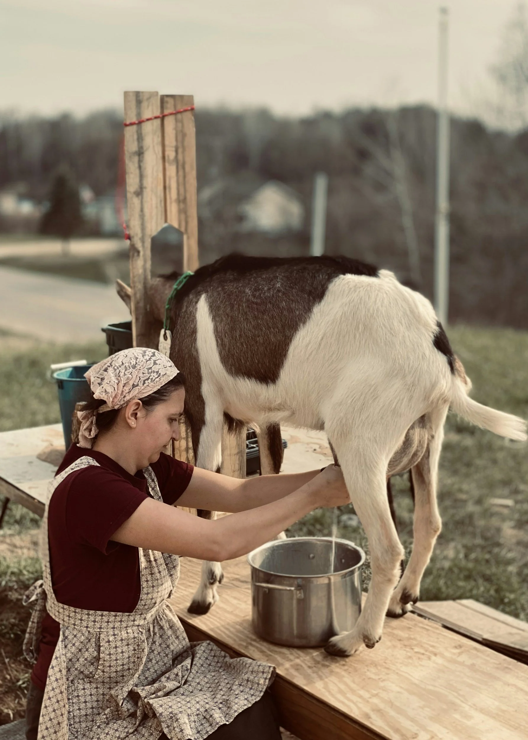 Energetics of Goat Milk: You Got Goat Milk?