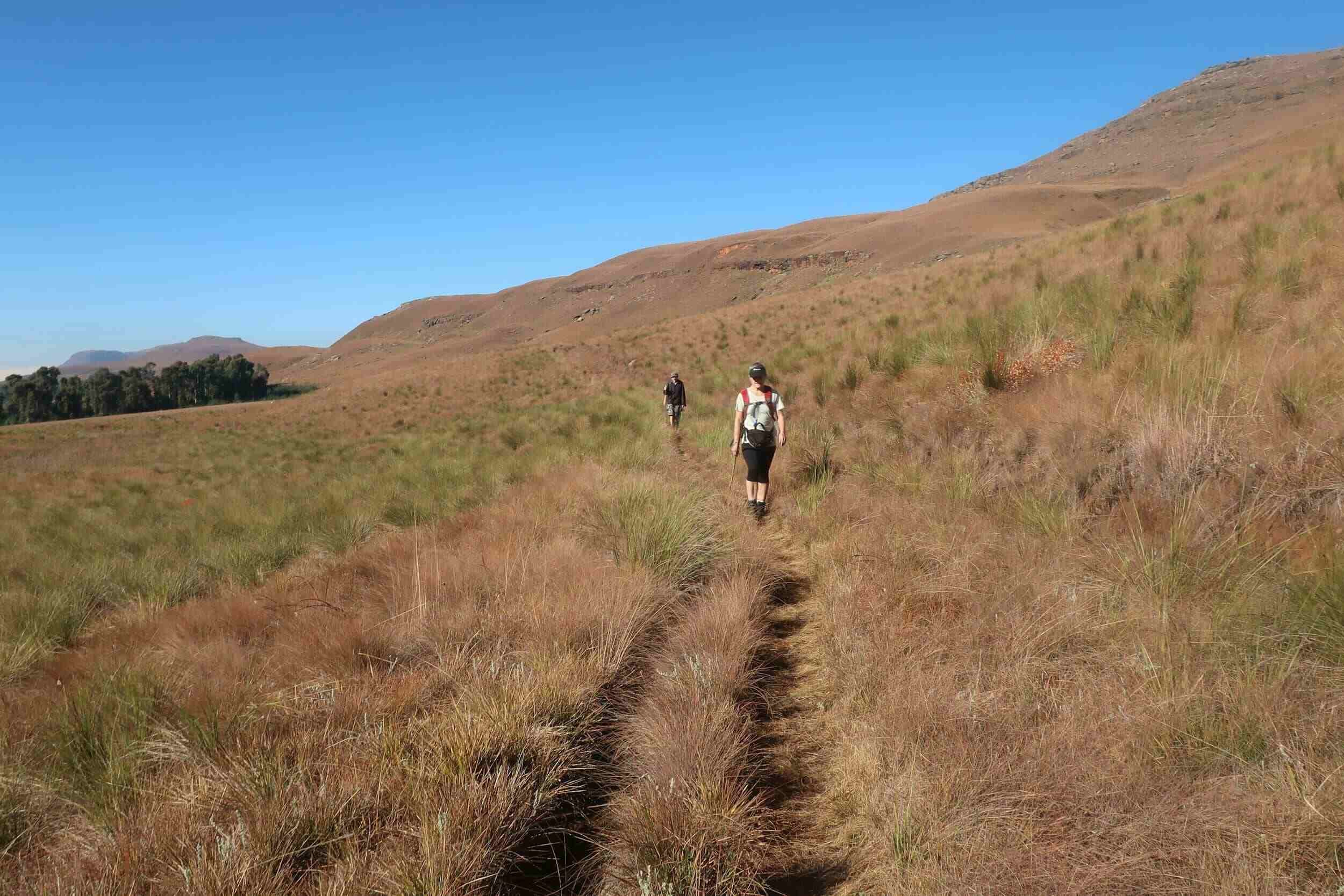 People hiking showing healthy lifestyle for insulin sensitivity