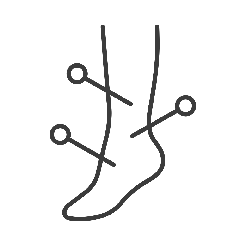 icon of acupuncture needles in a leg