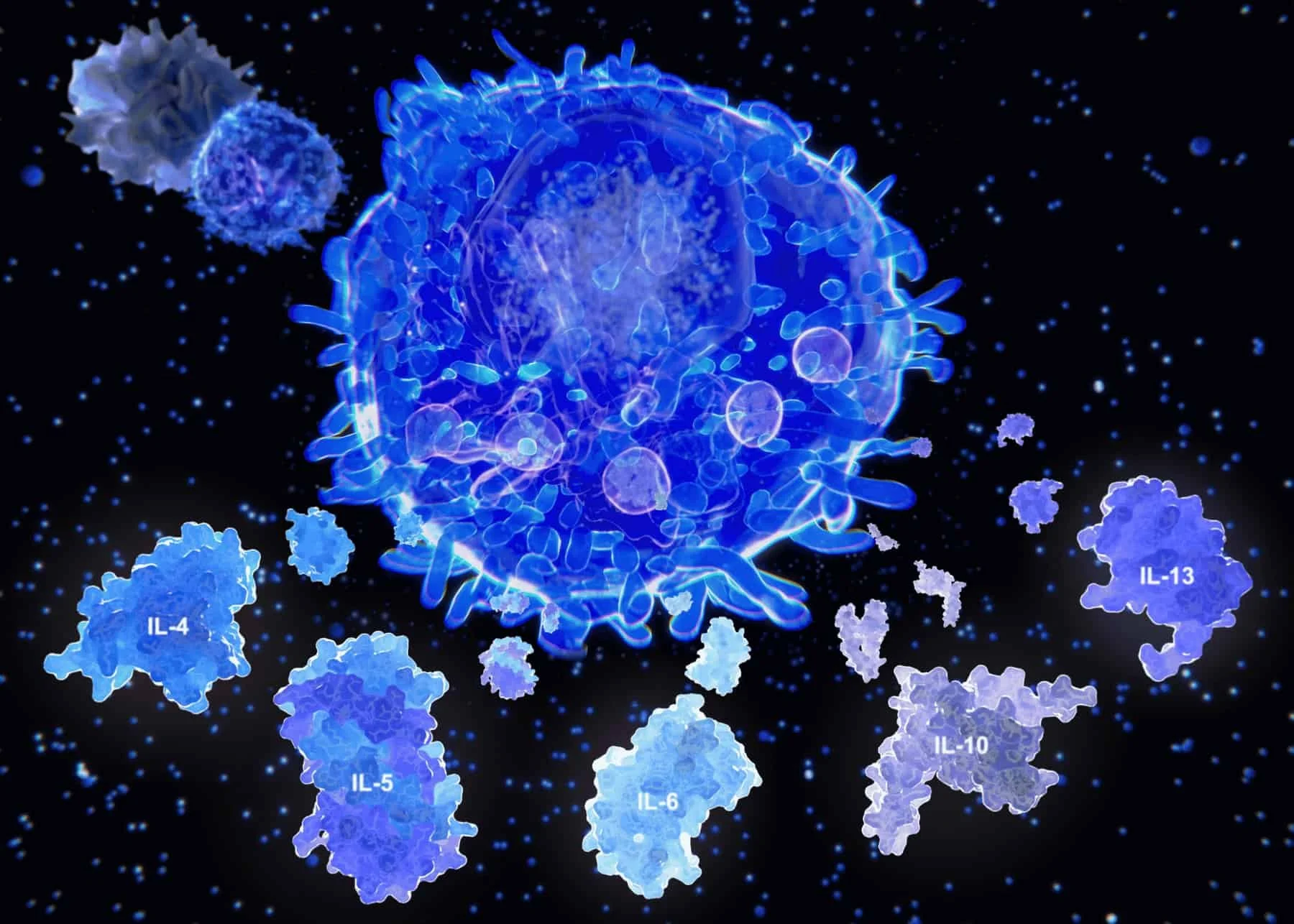 A picture of a T-Cell and interleukins