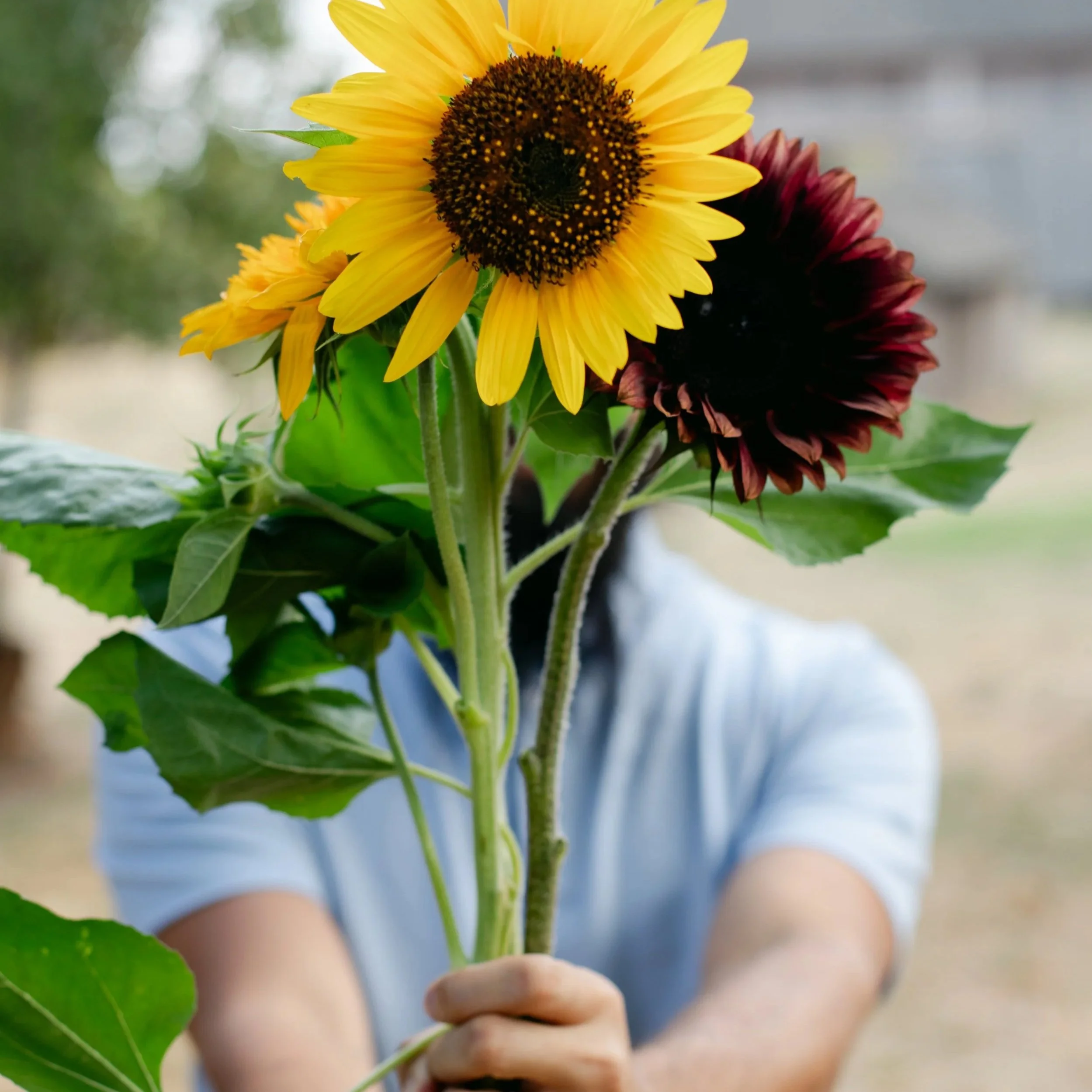 SECRETARY: Erik Larsen