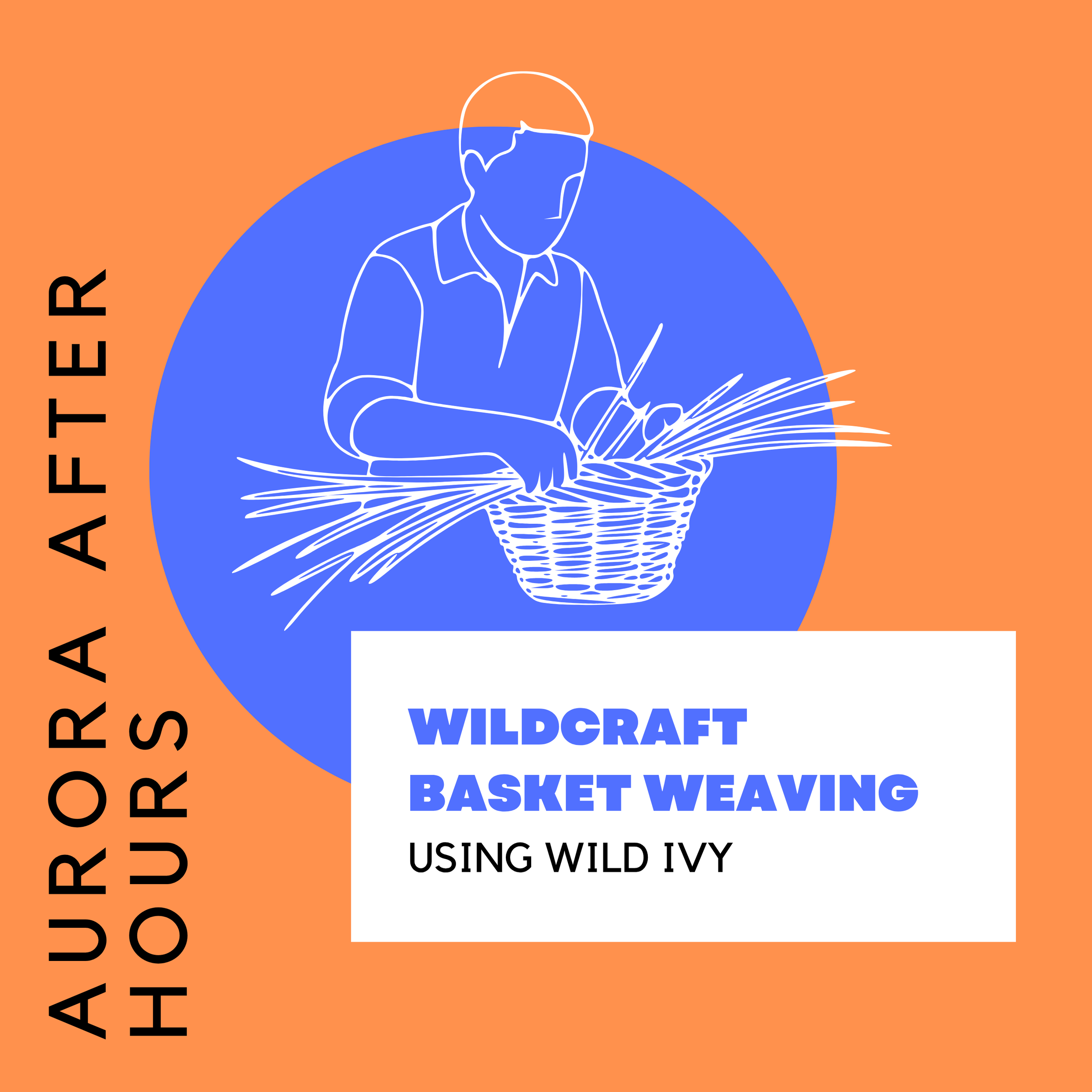 Aurora After Hours: Wildcraft Basket Weaving