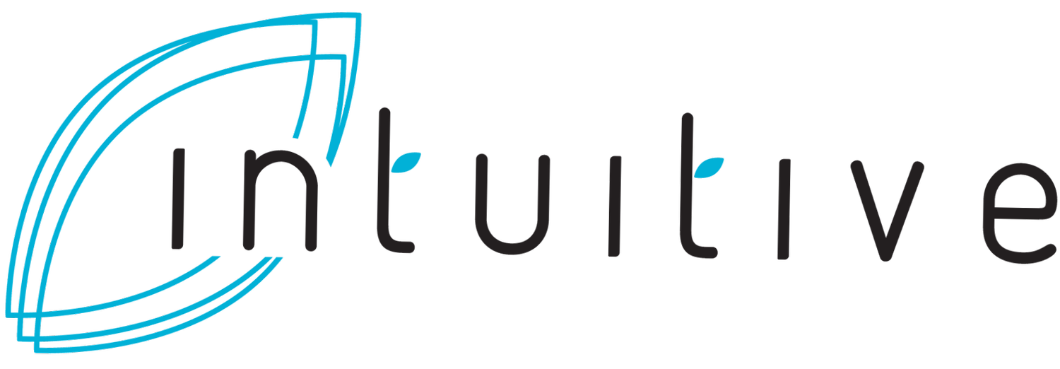 Intuitive AI