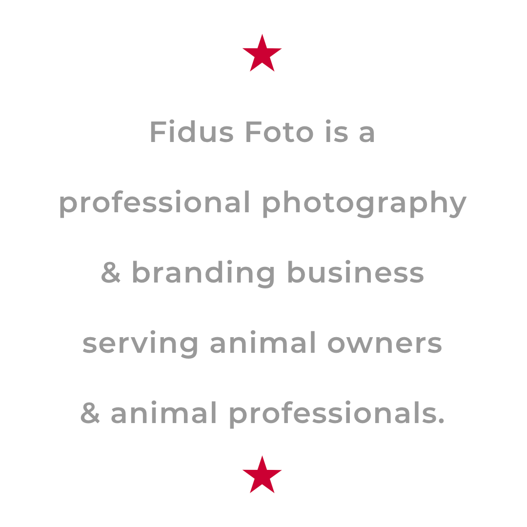  Fidus Foto is a  professional photography  & branding business  serving animal owners  & animal professionals. 