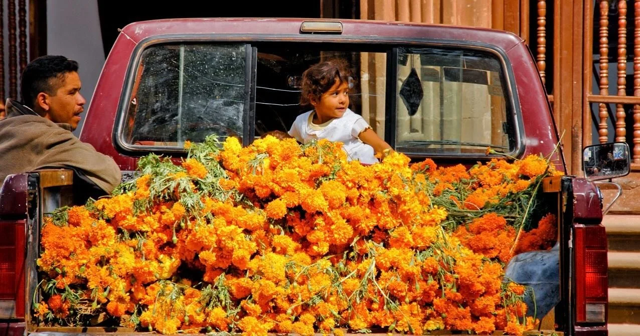 &hellip;and so it begins once again. 

#mexico #diadelosmuertos #michoac&aacute;n #traditions #culture #art #life #catrina #dayofthedead