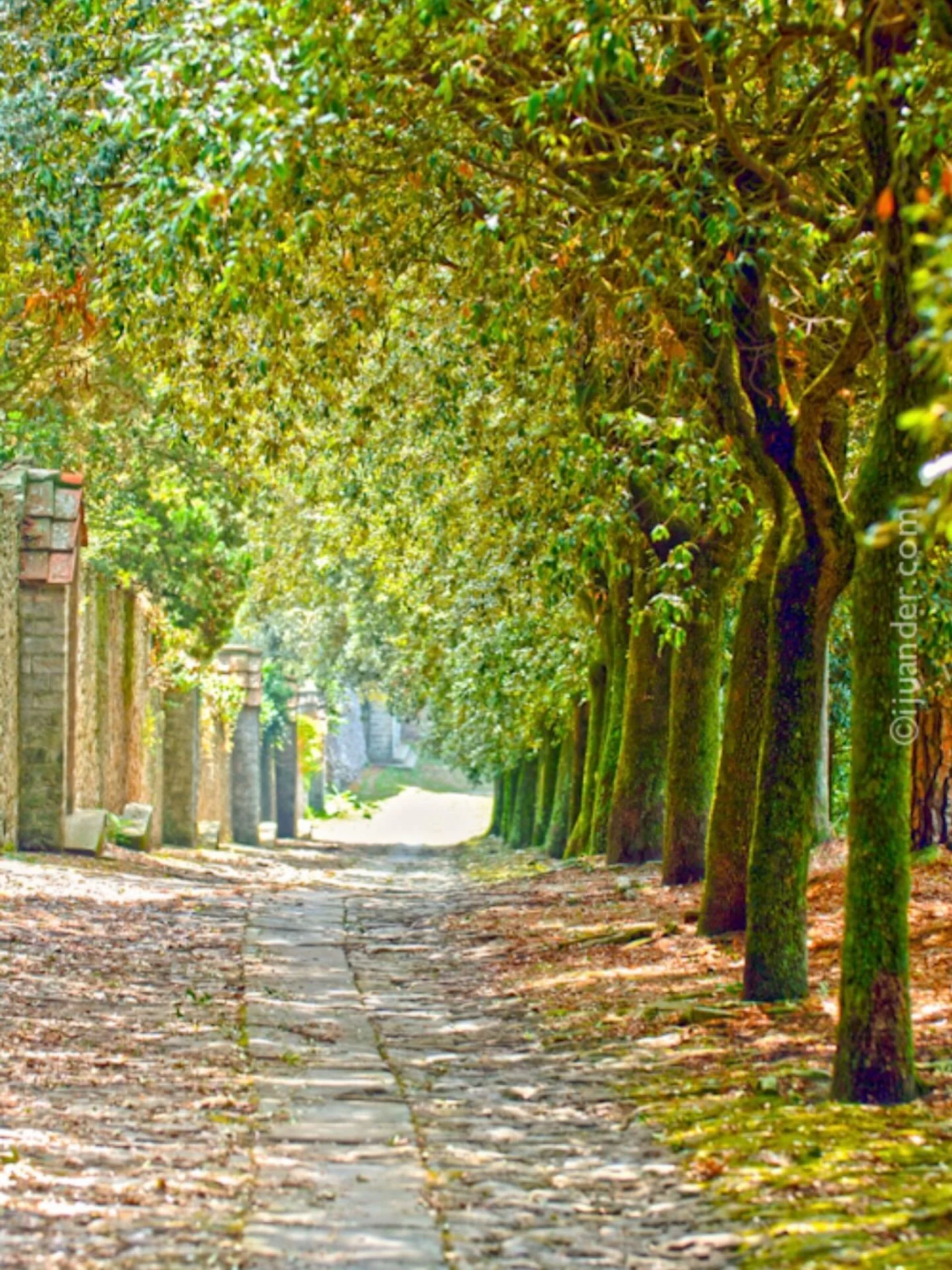 Etruscan road. 
Circa 900 BC