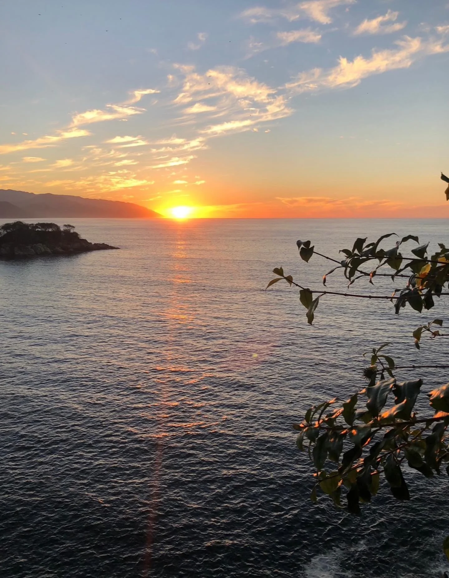 It&rsquo;s time for a shot of vitamin sea.