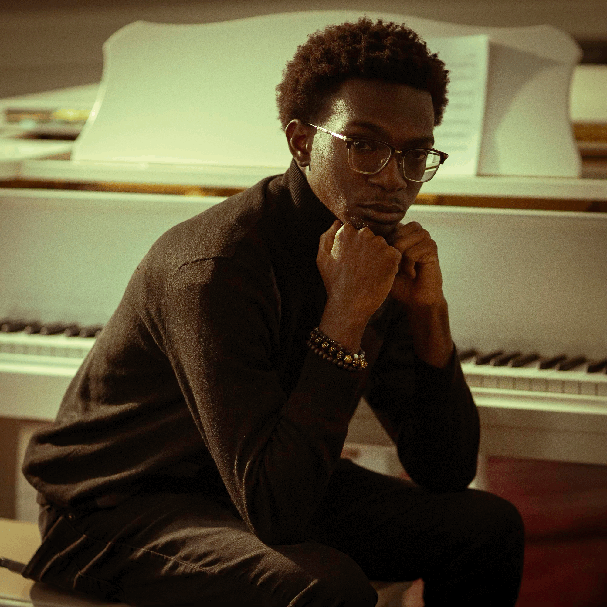 The Ronald Lee Experience 