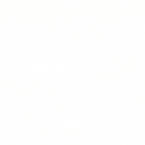 VIP mockup.gif