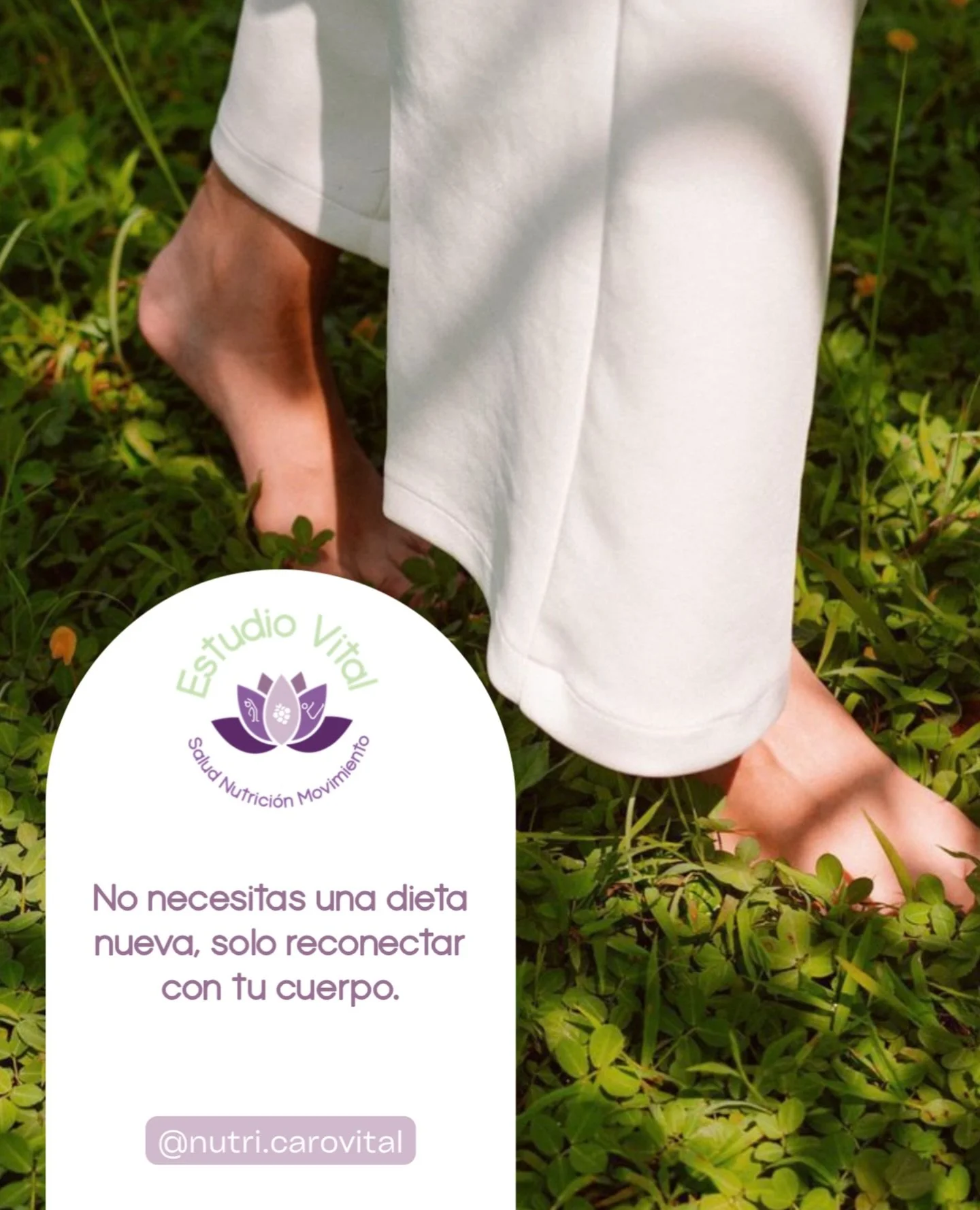 No necesitas una dieta, necesitas reconectar con tu cuerpo: entender sus se&ntilde;ales, nutrirlo con amor y vivir en equilibrio desde adentro. 🌱 #nutricioncampeche #nutricionmerida #saludybienestar #estudiovital #demujeres #paramujeres #nutricionvi